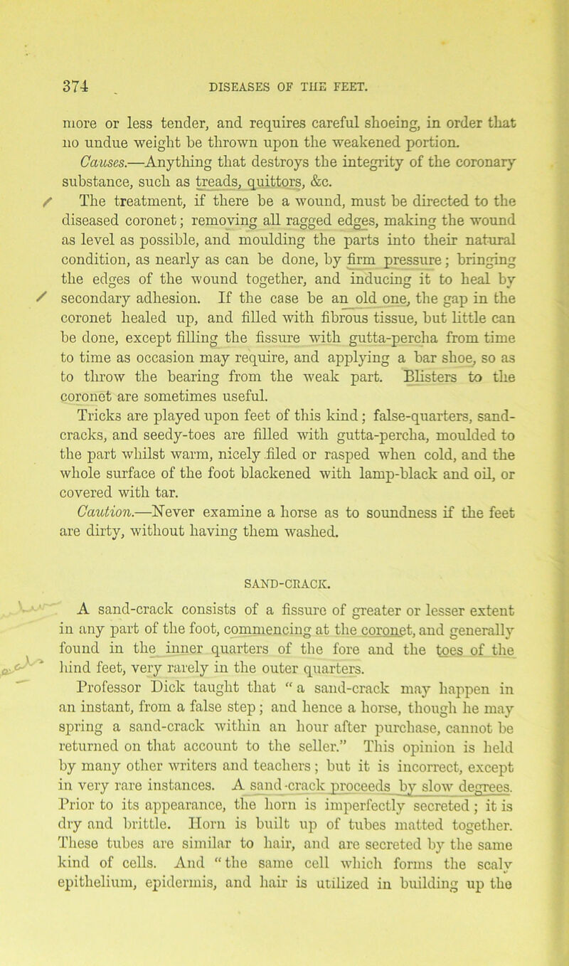 more or less tender, and requires careful shoeing, in order that no undue weight he thrown upon the weakened portion. Causes.—Anything that destroys the integrity of the coronary substance, such as treads, quittors, &c. / The treatment, if there be a wound, must be directed to the diseased coronet; removing all ragged edges, making the wound as level as possible, and moulding the parts into their natural condition, as nearly as can be done, by firm pressure; bringing the edges of the wound together, and inducing it to heal by / secondary adhesion. If the case be an old one, the gap in the coronet healed up, and filled with fibrous tissue, but little can be done, except filling the fissure with gutta-percha from time to time as occasion may require, and applying a bar shoe, so as to throw the bearing from the weak part. Blisters to the coronet are sometimes useful. Tricks are played upon feet of this kind; false-quarters, sand- cracks, and seedy-toes are filled with gutta-percha, moulded to the part whilst warm, nicely .filed or rasped when cold, and the whole surface of the foot blackened with lamp-black and oil, or covered with tar. Caution.—Never examine a horse as to soundness if the feet are dirty, without having them washed. SAND-CRACIC. A sand-crack consists of a fissure of greater or lesser extent in any part of the foot, commencing at the coronet, and generally found in the inner quarters of the fore and the toes of the ' hind feet, very rarely in the outer quarters. Professor Dick taught that “ a sand-crack may happen in an instant, from a false step; and hence a horse, though he may spring a sand-crack within an hour after purchase, cannot be returned on that account to the seller.” This opinion is held by many other writers and teachers ; but it is incorrect, except in very rare instances. A sand -crack proceeds by slow degrees. Prior to its appearance, the horn is imperfectly secreted; it is dry and brittle. Horn is built up of tubes matted together. These tubes are similar to hair, and are secreted by the same kind of cells. And “the same cell which forms the scaly epithelium, epidermis, and hair is utilized in building up the