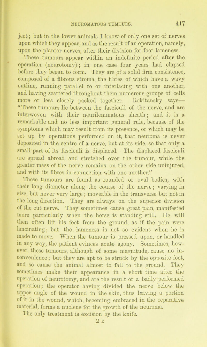 ject; but in tlie lower animals I know of only one set of nerves upon which they appear, and as the result of an operation, namely, upon the plantar nerves, after their division for foot lameness. These tumours appear within an indefinite period after the operation (neurotomy); in one ease four years had elapsed before they began to form. They are of a solid firm consistence, composed of a fibrous stroma, the fibres of which have a wavy outline, running parallel to or interlacing with one another, and having scattered throughout them numerous groups of cells more or less closely packed together. Eokitansky says— “ These tumours lie between the fasciculi of the nerve, and are interwoven with their neurilemmatous sheath; and it is a remarkable and no less important general rule, because of the symptoms which may result from its presence, or which may be set up by operations performed on it, that neuroma is never deposited in the centre of a nerve, but at its side, so that only a small part of its fasciculi is displaced. The displaced fasciculi are spread abroad and stretched over the tumour, while the greater mass of the nerve remains on the other side uninjured, and with its fibres in connection with one another.” These tumours are found as rounded or oval bodies, with their long diameter along the course of the nerve; varying in size, but never very large; moveable in the transverse but not in the long direction. They are always on the superior division of the cut nerve. They sometimes cause great pain, manifested more particularly when the horse is standing still. He will then often lift his foot from the ground, as if the pain were lancinating; but the lameness is not so evident when he is made to move. When the tumour is pressed upon, or handled in any way, the patient evinces acute agony. Sometimes, how- ever, these tumours, although of some magnitude, cause no in- convenience ; but they are apt to be struck by the opposite foot, and so cause the animal almost to fall to the ground. They sometimes make their appearance in a short time after the operation of neurotomy, and are the result of a badly performed operation; the operator having divided the nerve below the upper angle of the wound in the skin, thus leaving a portion of it in the wound, which, becoming embraced in the reparative material, forms a nucleus for the growth of the neuroma. The only treatment is excision by the knife. 2 E