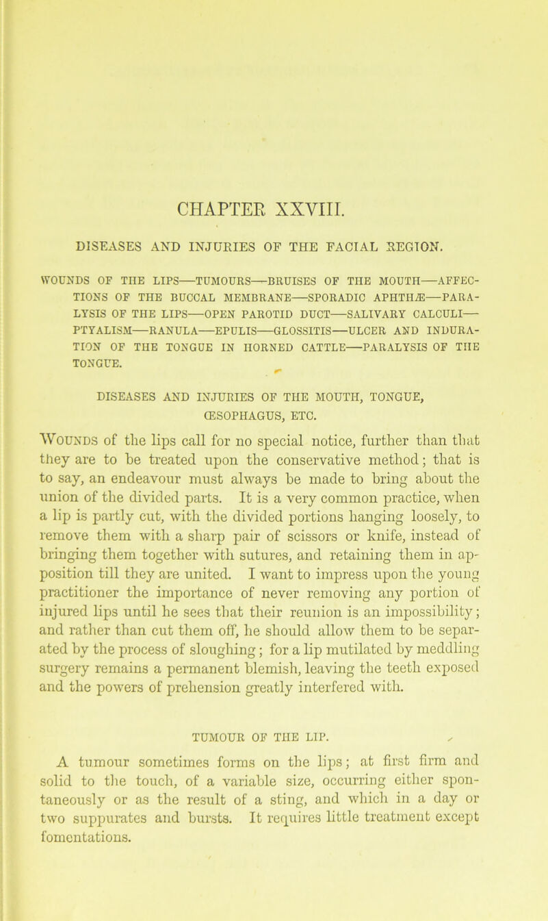 CHAPTER XXVIII. DISEASES AND INJURIES OF THE FACIAL REGION. WOUNDS OF THE LIPS—TUMOURS—BRUISES OF THE MOUTH—AFFEC- TIONS OF THE BUCCAL MEMBRANE SPORADIC APHTHAE—PARA- LYSIS OF THE LIPS OPEN PAROTID DUCT SALIVARY CALCULI PTYALISM RANULA EPULIS GLOSSITIS—ULCER AND INDURA- TION OF THE TONGUE IN HORNED CATTLE—PARALYSIS OF THE TONGUE. DISEASES AND INJURIES OF THE MOUTH, TONGUE, (ESOPHAGUS, ETC. Wounds of tlie lips call for no special notice, further than that they are to he treated upon the conservative method; that is to say, an endeavour must always he made to bring about the union of the divided parts. It is a very common practice, when a lip is partly cut, with the divided portions hanging loosely, to remove them with a sharp pair of scissors or knife, instead of bringing them together with sutures, and retaining them in ap- position till they are united. I want to impress upon the young practitioner the importance of never removing any portion of injured lips until he sees that their reunion is an impossibility; and rather than cut them off, he should allow them to be separ- ated by the process of sloughing; for a lip mutilated by meddling surgery remains a permanent blemish, leaving the teeth exposed and the powers of prehension greatly interfered with. TUMOUR OF THE LIP. A tumour sometimes forms on the lips; at first firm and solid to the touch, of a variable size, occurring either spon- taneously or as the result of a sting, and which in a day or two suppurates and bursts. It requires little treatment except fomentations.