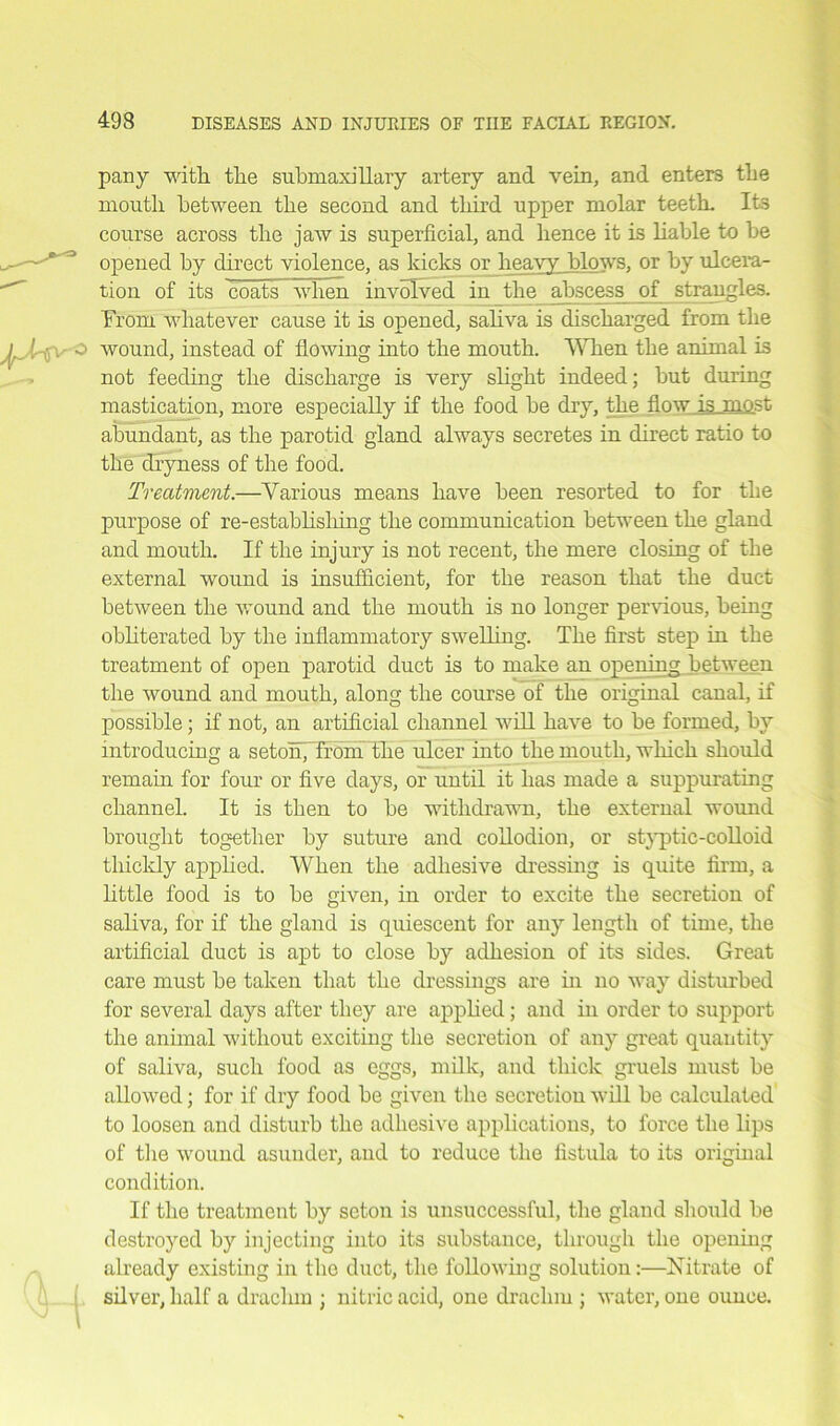 pany with the submaxillary artery and vein, and enters the mouth between the second and third upper molar teeth. Its course across the jaw is superficial, and hence it is liable to be opened by direct violence, as kicks or heavy blows, or by ulcera- tion of its coats when involved in the abscess of strangles. From whatever cause it is opened, saliva is discharged from the wound, instead of flowing into the mouth. When the animal is not feeding the discharge is very slight indeed; but during mastication, more especially if the food be dry, the flow is most abundant, as the parotid gland always secretes in direct ratio to the dryness of the food. Treatment.—Various means have been resorted to for the purpose of re-establishing the communication between the gland and mouth. If the injury is not recent, the mere closing of the external wound is insufficient, for the reason that the duct between the wound and the mouth is no longer pervious, being obliterated by the inflammatory swelling. The first step in the treatment of open parotid duct is to make an opening between the wound and mouth, along the course of the original canal, if possible; if not, an artificial channel will have to be formed, by introducing a setonj'Trom the ulcer into the mouth, which should remain for four or five days, or until it has made a suppurating channel. It is then to be withdrawn, the external wound brought together by suture and collodion, or styptic-colloid thickly applied. When the adhesive dressing is quite firm, a little food is to be given, in order to excite the secretion of saliva, for if the gland is quiescent for any length of time, the artificial duct is apt to close by adhesion of its sides. Great care must be taken that the dressings are hi no way disturbed for several days after they are applied; and in order to support the animal without exciting the secretion of any great quantity of saliva, such food as eggs, milk, and thick gruels must be allowed; for if dry food be given the secretion will be calculated to loosen and disturb the adhesive applications, to force the lips of the wound asunder, and to reduce the fistula to its original condition. If the treatment by scton is unsuccessful, the gland should be destroyed by injecting into its substance, through the opening already existing in the duct, the following solution:—Nitrate of silver, half a drachm ; nitric acid, one drachm ; water, one ounce.