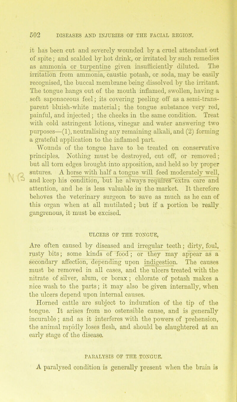 |m a it lias been cut and severely wounded by a cruel attendant out of spite; and scalded by liot drink, or irritated by such remedies as ammonia or turpentine given insufficiently diluted. The irritation from ammonia, caustic potash, or soda, may be easily recognised, the buccal membrane being dissolved by the irritant. The tongue hangs out of the mouth inflamed, swollen, having a soft saponaceous feel; its covering peeling off as a semi-trans- parent bluish-white material; the tongue substance very red, painful, and injected; the cheeks in the same condition. Treat with cold astringent lotions, vinegar and water answering two purposes—(1), neutralising any remaining alkali, and (2) forming a grateful application to the inflamed part. Wounds of the tongue have to be treated on conservative principles. Nothing must be destroyed, cut off, or removed; but all torn edges brought into apposition, and held so by proper sutures. A horse with half a tongue will feed moderately well, and keep his condition, but he always requires extra care and attention, and he is less valuable in the market. It therefore behoves the veterinary surgeon to save as much as he can of this organ when at all mutilated; but if a portion be really gangrenous, it must be excised. ULCERS OF THE TONGUE, Are often caused by diseased and irregular teeth; dirty, foul, rusty bits; some kinds of food; or they may appear as a secondary affection, depending upon indigestion. The causes must be removed in all cases, and the ulcers treated with the nitrate of silver, alum, or borax ; chlorate of potash makes a nice wash to the parts; it may also be given internally, when the ulcers depend upon internal causes. Horned cattle are subject to induration of the tip of the tongue. It arises from no ostensible cause, and is generally incurable ; and as it interferes with the powers of prehension, the animal rapidly loses flesh, and should be slaughtered at an early stage of the disease. TARALYSIS OF THE TONGUE. A paralysed condition is generally present when the brain is