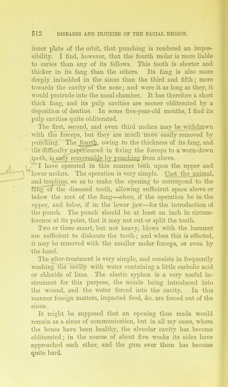 inner plate of the orbit, that punching is rendered an impos- sibility. I find, however, that the fourth molar is more liable to caries than any of its fellows. This tooth is shorter and thicker in its fang than the others. Its fang is also more deeply imbedded in the sinus than the third and fifth; more towards the cavity of the nose; and were it as long as they, it would protrude into the nasal chamber. It has therefore a short thick fang, and its pulp cavities are sooner obliterated by a deposition of dentine. In some five-year-old mouths, I find its pulp cavities quite obliterated. The first, second, and even third molars may be withdrawn with the forceps, but they are much more easily removed by punching. The fourth, owing to the thickness of its fang, and the difficulty experienced in fixing the forceps to a worn-down .tooth, is only removeabje bv punching from above. I have operated in this manner both upon the upper and lower molars. The operation is very simple. Cast the animal, and trephine, so as to make the opening to correspond to the fang of the diseased tooth, allowing sufficient space above or below the root of the fang—above, if the operation be in the upper, and below, if in the lower jaw—for the introduction of the punch. The punch should be at least an inch in circum- ference at its point, that it may not cut or split the tooth. Two or three smart, but not heavy, blows with the hammer are sufficient to dislocate the tooth; and when this is effected, it may be removed with the smaller molar forceps, or even by the hand. The after-treatment is very simple, and consists in frequently washing the cavity with water containing a little carbolic acid or chloride of lime. The elastic syphon is a very useful in- strument for this purpose, the nozzle being introduced into the wound, and the water forced into the cavity. In this manner foreign matters, impacted food, &c. are forced out of the sinus. It might be supposed that an opening thus made would remain as a sinus of communication, but in all my cases, where the bones have been healthy, the alveolar cavity has become obliterated ; in the course of about five weeks its sides have approached each other, and the gum over them has become quite hard.