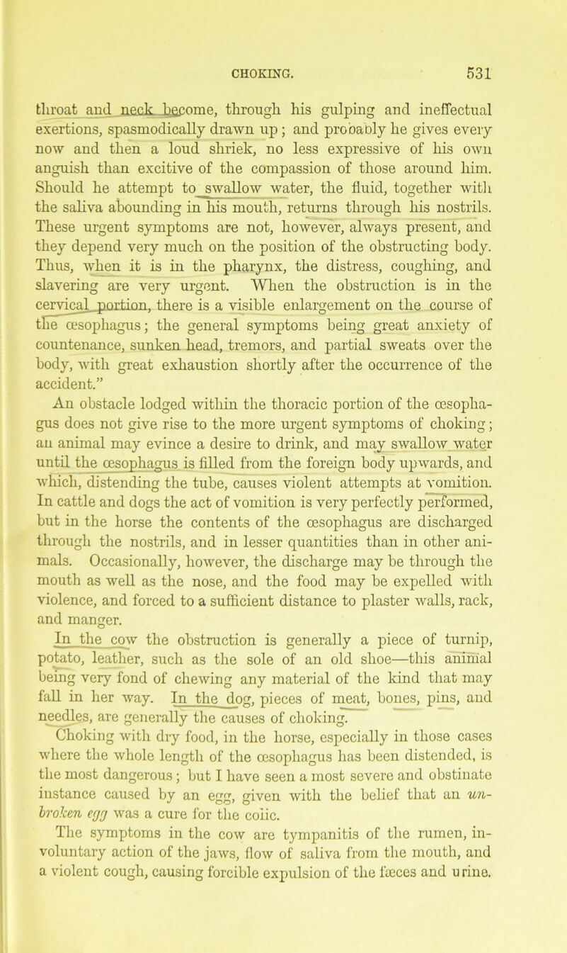 throat and neck become, through his gulping and ineffectual exertions, spasmodically drawn up; and probably he gives every now and then a loud shriek, no less expressive of his own anguish than excitive of the compassion of those around him. Should he attempt to swallow water, the fluid, together with the saliva abounding in his mouth, returns through his nostrils. These urgent symptoms are not, however, always present, and they depend very much on the position of the obstructing body. Thus, when it is in the pharynx, the distress, coughing, and slavering are very urgent. When the obstruction is in the cerviccd__portion, there is a visible enlargement on the course of the oesophagus; the general symptoms being great anxiety of countenance, sunken head, tremors, and partial sweats over the body, with great exhaustion shortly after the occurrence of the accident.” An obstacle lodged within the thoracic portion of the oesopha- gus does not give rise to the more urgent symptoms of choking; an animal may evince a desire to drink, and may swallow water until the_cesophagus is filled from the foreign body upwards, and which, distending the tube, causes violent attempts at vomition. In cattle and dogs the act of vomition is very perfectly performed, but in the horse the contents of the oesophagus are discharged through the nostrils, and in lesser quantities than in other ani- mals. Occasionally, however, the discharge may be through the mouth as well as the nose, and the food may be expelled with violence, and forced to a sufficient distance to plaster walls, rack, and manger. In the cow the obstruction is generally a piece of turnip, potato, leather, such as the sole of an old shoe—this animal being very fond of chewing any material of the land that may fall in her way. In the dog, pieces of meat, bones, pins, and needles, are generally the causes of choking. Choking with diy food, in the horse, especially in those cases where the whole length of the oesophagus has been distended, is the most dangerous; but I have seen a most severe and obstinate instance caused by an egg, given with the belief that an un- broken ecjrj was a cure for the colic. The symptoms in the cow are tympanitis of the rumen, in- voluntary action of the jaws, flow of saliva from the mouth, and a violent cough, causing forcible expulsion of the faeces and u rine.