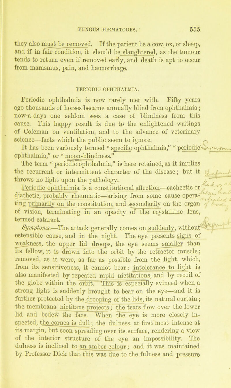 they also must be removed. If the patient be a cow, ox, or sheep, and if in fair condition, it should be slaughtered, as the tumour tends to return even if removed early, and death is apt to occur from marasmus, pain, and haemorrhage. PERIODIC OPHTHALMIA. Periodic ophthalmia is now rarely met with. Fifty years ago thousands of horses became annually blind from ophthalmia; now-a-days one seldom sees a case of blindness from this cause. This happy result is due to the enlightened writings of Coleman on ventilation, and to the advance of veterinary science—facts which the public seem to ignore. r. It has been variously termed “ specific ophthalmia/' “ periodic- • ophthalmia,” or “ moon-blindness.” '’vmI'w The term “ periodic ophthalmia,” is here retained, as it implies the recurrent or intermittent character of the disease; but it / throws no light upon the pathology. /O Periodic ophthalmia is a constitutional affection—cachectic or / diathetic, probably rheumatic—arising from some cause opera-'1 . . . . < A / /i ring primarily on the constitution, and secondarily on the organ ( , - of vision, terminating in an opacity of the crystalline lens, termed cataract. .1 Symptoms.—The attack generally comes on suddenly, without ostensible cause, and in the night. The eye presents signs of weakness, the upper lid droops, the eye seems smaller than its fellow, it is drawn into the orbit by the retractor muscle; removed, as it were, as far as possible from the light, which. from its sensitiveness, it cannot bear: intolerance to light is also manifested by repeated rapid nictitations, and by recoil of the globe within the orbit. This is especially evinced when a strong light is suddenly brought to bear on the eye—and it is further protected by the drooping of the lids, its natural curtain; the membrana nictitans projects; the tears flow over the lower lid and bedew the face. When the eye is more closely in- spected, the cornea is dull; the dulness, at first most intense at its margin, but soon spreading over its surface, rendering a view of the interior structure of the eye an impossibility. The dulness is inclined to an amber colour; and it was maintained by Professor Dick that this was due to the fulness and pressure