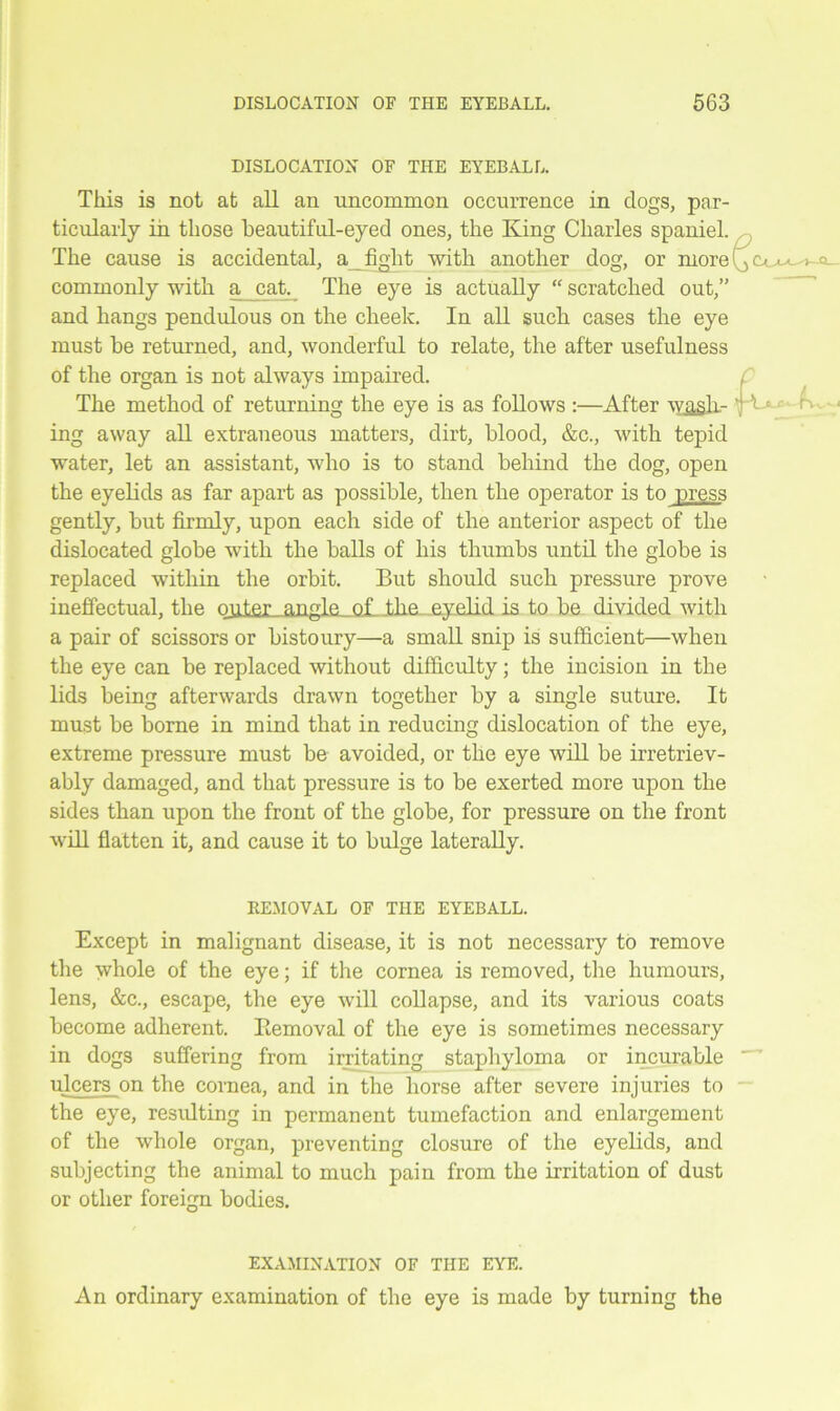 DISLOCATION OF THE EYEBALL. This is not at all an uncommon occurrence in clogs, par- ticularly in those beautiful-eyed ones, the King Charles spaniel. The cause is accidental, a fight with another dog, or more commonly with a cat. The eye is actually “scratched out,” and hangs pendulous on the cheek. In all such cases the eye must be returned, and, wonderful to relate, the after usefulness of the organ is not always impaired. The method of returning the eye is as follows :—After wash- ing away all extraneous matters, dirt, blood, &c., with tepid water, let an assistant, wTho is to stand behind the dog, open the eyelids as far apart as possible, then the operator is to press gently, but firmly, upon each side of the anterior aspect of the dislocated globe with the balls of his thumbs until the globe is replaced within the orbit. But should such pressure prove ineffectual, the outer angle of. Jthe eyelid is to be divided with a pair of scissors or bistoury—a small snip is sufficient—when the eye can be replaced without difficulty; the incision in the lids being afterwards drawn together by a single suture. It must be borne in mind that in reducing dislocation of the eye, extreme pressure must be avoided, or the eye will be irretriev- ably damaged, and that pressure is to be exerted more upon the sides than upon the front of the globe, for pressure on the front will flatten it, and cause it to bulge laterally. REMOVAL OF THE EYEBALL. Except in malignant disease, it is not necessary to remove the whole of the eye; if the cornea is removed, the humours, lens, &c., escape, the eye will collapse, and its various coats become adherent. Removal of the eye is sometimes necessary in dogs suffering from irritating staphyloma or incurable ulcers on the cornea, and in the horse after severe injuries to the eye, resulting in permanent tumefaction and enlargement of the whole organ, preventing closure of the eyelids, and subjecting the animal to much pain from the irritation of dust or other foreign bodies. EXAMINATION OF THE EYE. An ordinary examination of the eye is made by turning the