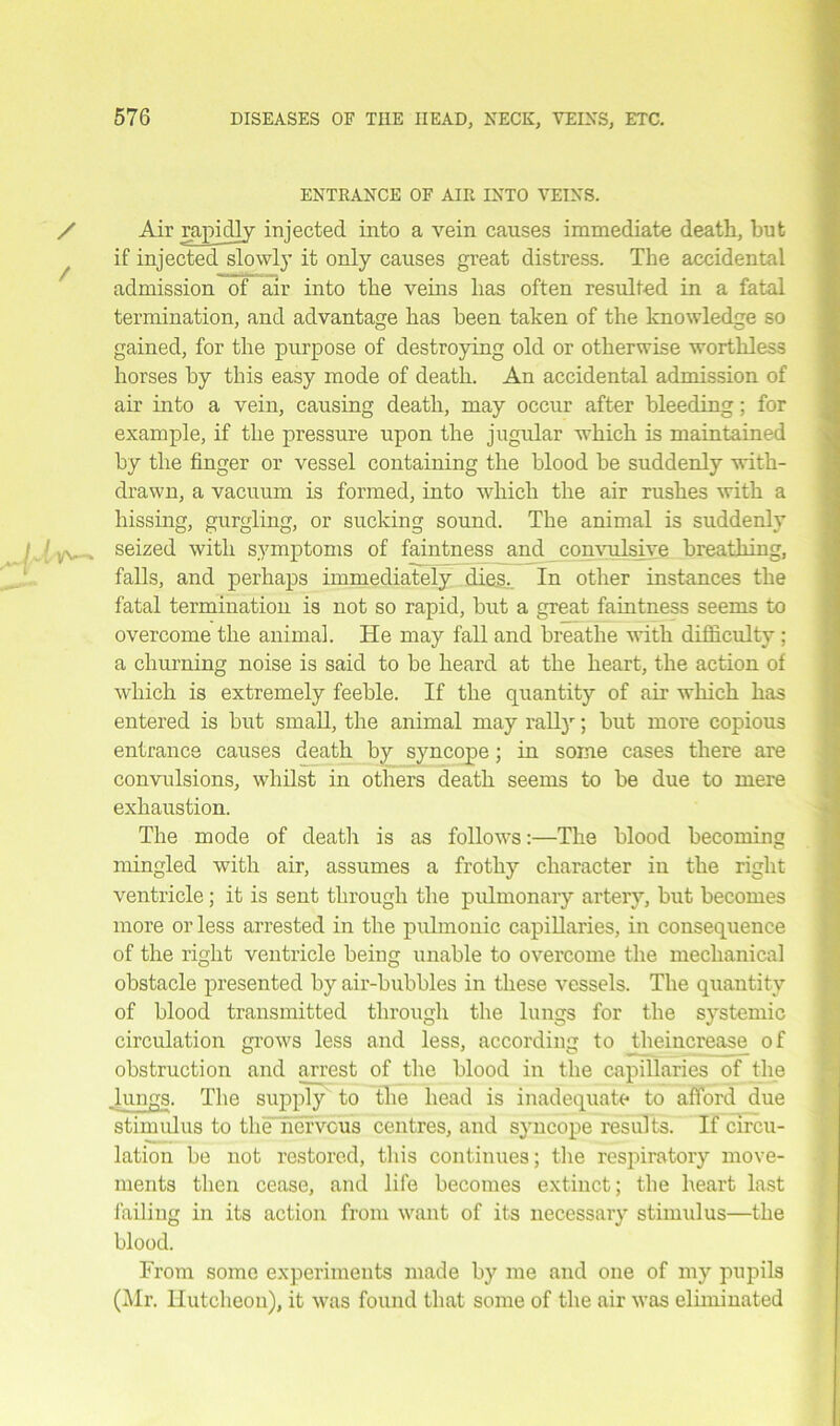 ENTRANCE OF AIR INTO VEINS. / Air rapidly injected into a vein causes immediate death, hut if injected slowly it only causes great distress. The accidental admission of air into the veins has often resulted in a fatal termination, and advantage has been taken of the knowledge so gained, for the purpose of destroying old or otherwise worthless horses by this easy mode of death. An accidental admission of air into a vein, causing death, may occur after bleeding; for example, if the pressure upon the jugular which is maintained by the finger or vessel containing the blood be suddenly with- drawn, a vacuum is formed, into which the air rushes with a hissing, gurgling, or sucking sound. The animal is suddenly seized with symptoms of faintness and convulsive breathing, falls, and perhaps immediately dies.. In other instances the fatal termination is not so rapid, but a great faintness seems to overcome the animal. He may fall and breathe with difficulty; a churning noise is said to be heard at the heart, the action of which is extremely feeble. If the quantity of air which has entered is but small, the animal may rally; but more copious entrance causes death by syncope; in some cases there are convulsions, whilst in others death seems to be due to mere exhaustion. The mode of death is as follows:—The blood becoming mingled with air, assumes a frothy character in the right ventricle; it is sent through the pulmonary artery, but becomes more or less arrested in the pulmonic capillaries, in consequence of the right ventricle being unable to overcome the mechanical obstacle presented by air-bubbles in these vessels. The quantity of blood transmitted through the lungs for the systemic circulation grows less and less, according to theincrease of obstruction and arrest of the blood in the capillaries of the .lungs. The supply to the head is inadequate to afford due stimulus to the nervous centres, and syncope results. If circu- lation be not restored, this continues; the respiratory move- ments then cease, and life becomes extinct; the heart last failing in its action from want of its necessary stimulus—the blood. From some experiments made by me and one of my pupils (Mr. Hutcheon), it was found that some of the air was eliminated
