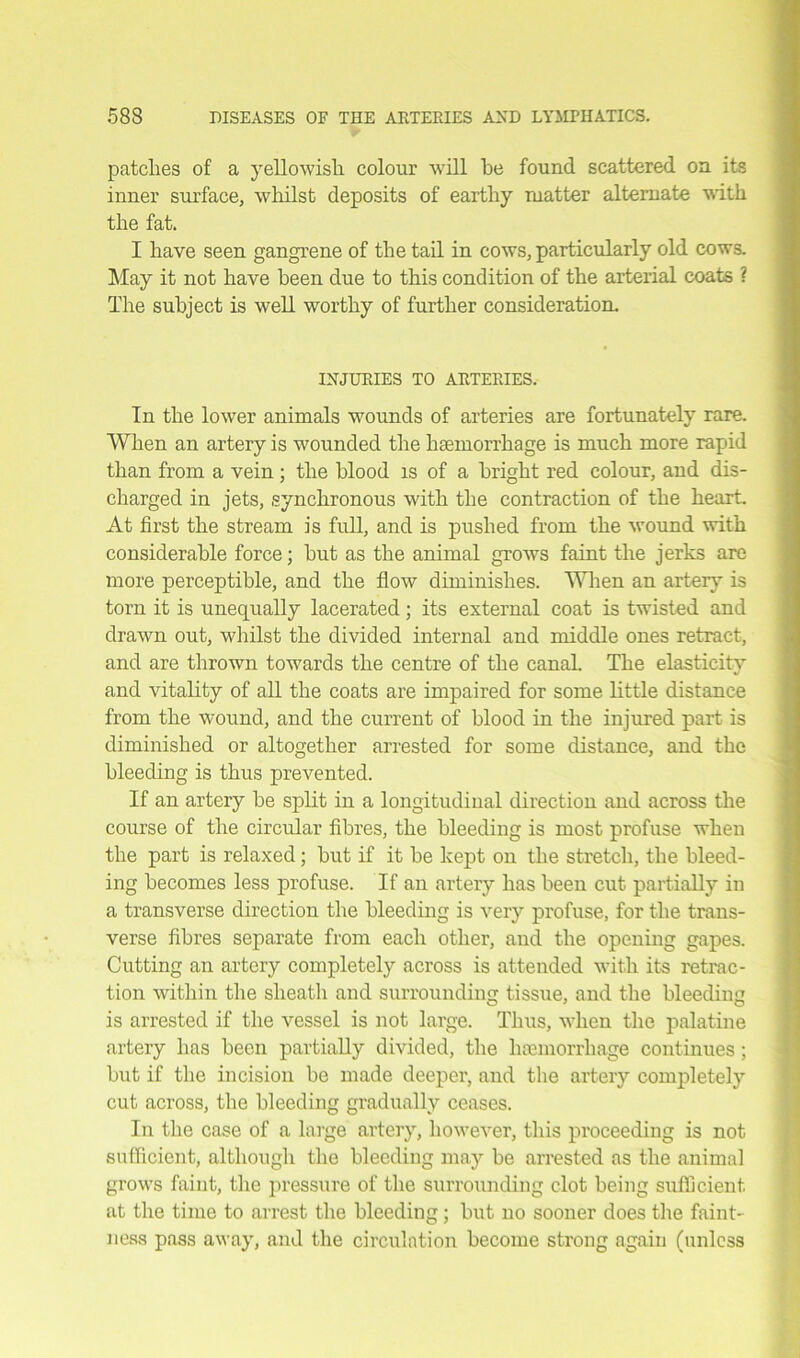 patches of a yellowish colour will he found scattered on its inner surface, whilst deposits of earthy matter alternate with the fat. I have seen gangrene of the tail in cows, particularly old cows. May it not have been due to this condition of the arterial coats ? The subject is well worthy of further consideration. INJURIES TO ARTERIES. In the lower animals wounds of arteries are fortunately rare. When an artery is wounded the haemorrhage is much more rapid than from a vein; the blood is of a bright red colour, and dis- charged in jets, synchronous with the contraction of the heart. At first the stream is full, and is pushed from the wound with considerable force; but as the animal grows faint the jerks are more perceptible, and the flow diminishes. When an artery is torn it is unequally lacerated; its external coat is twisted and drawn out, whilst the divided internal and middle ones retract, and are thrown towards the centre of the canal. The elasticity and vitality of all the coats are impaired for some little distance from the wound, and the current of blood in the injured part is diminished or altogether arrested for some distance, and the bleeding is thus prevented. If an artery be split in a longitudinal direction and across the course of the circular fibres, the bleeding is most profuse when the part is relaxed; but if it be kept on the stretch, the bleed- ing becomes less profuse. If an artery has been cut partially in a transverse direction the bleeding is very profuse, for the trans- verse fibres separate from each other, and the opening gapes. Cutting an artery completely across is attended with its retrac- tion within the sheath and surrounding tissue, and the bleeding is arrested if the vessel is not large. Thus, when the palatine artery has been partially divided, the haemorrhage continues; but if the incision be made deeper, and the artery completely cut across, the bleeding gradually ceases. In the case of a large artery, however, this proceeding is not sufficient, although the bleeding may be arrested as the animal grows faint, the pressure of the surrounding clot being sufficient at the time to arrest the bleeding; but no sooner does the faint- ness pass away, and the circulation become strong again (unless