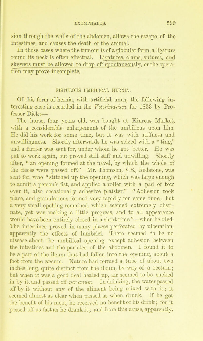 sion through the walls of the abdomen, allows the escape of the intestines, and causes the death of the animal. In those cases where the tumour is of a globular form, a ligature round its neck is often effectual. Ligatures, clams, sutures, and skewers must be allowed to drop off spontaneously, or the opera- tion may prove incomplete. FISTULOUS UMBILICAL HERNIA. Of this form of hernia, with artificial anus, the following in- teresting case is recorded in the Veterinarian for 1833 by Pro- fessor Dick:— The horse, four years old, was bought at Kinross Market, with a considerable enlargement of the umbilicus upon him. He did his work for some time, but it was with stiffness and unwillingness. Shortly afterwards he was seized with a “ ting,” and a farrier was sent for, under whom he got better. He was put to work again, but proved still stiff and unwilling. Shortly after, “ an opening formed at the navel, by which the whole of the fteces were passed off.” Mr. Thomson, V.S., Eedstone, was sent for, who “ stitched up the opening, which was large enough to admit a person’s fist, and applied a roller with a pad of tow over it, also occasionally adhesive plaister.” “Adhesion took place, and granulations formed very rapidly for some time ; but a very small opehing remained, which seemed extremely obsti- nate, yet was making a little progress, and to all appearance would have been entirely closed in a short time ”—when he died. The intestines proved in many places perforated by ulceration, apparently the effects of lumbrici. There seemed to be no disease about the umbilical opening, except adhesion between the intestines and the parietes of the abdomen. I found it to be a part of the ileum that had fallen into the opening, about a foot from the caecum. Nature had formed a tube of about two inches long, quite distinct from the ileum, by way of a rectum; but when it was a good deal healed up, air seemed to be sucked in by it, and passed off per anum. In drinking, the water passed off by it without any of the aliment being mixed with it; it seemed almost as clear when passed as when drunk. If he got the benefit of his meat, he received no benefit of his drink; for it passed off as fast as he drank it; and from this cause, apparently,