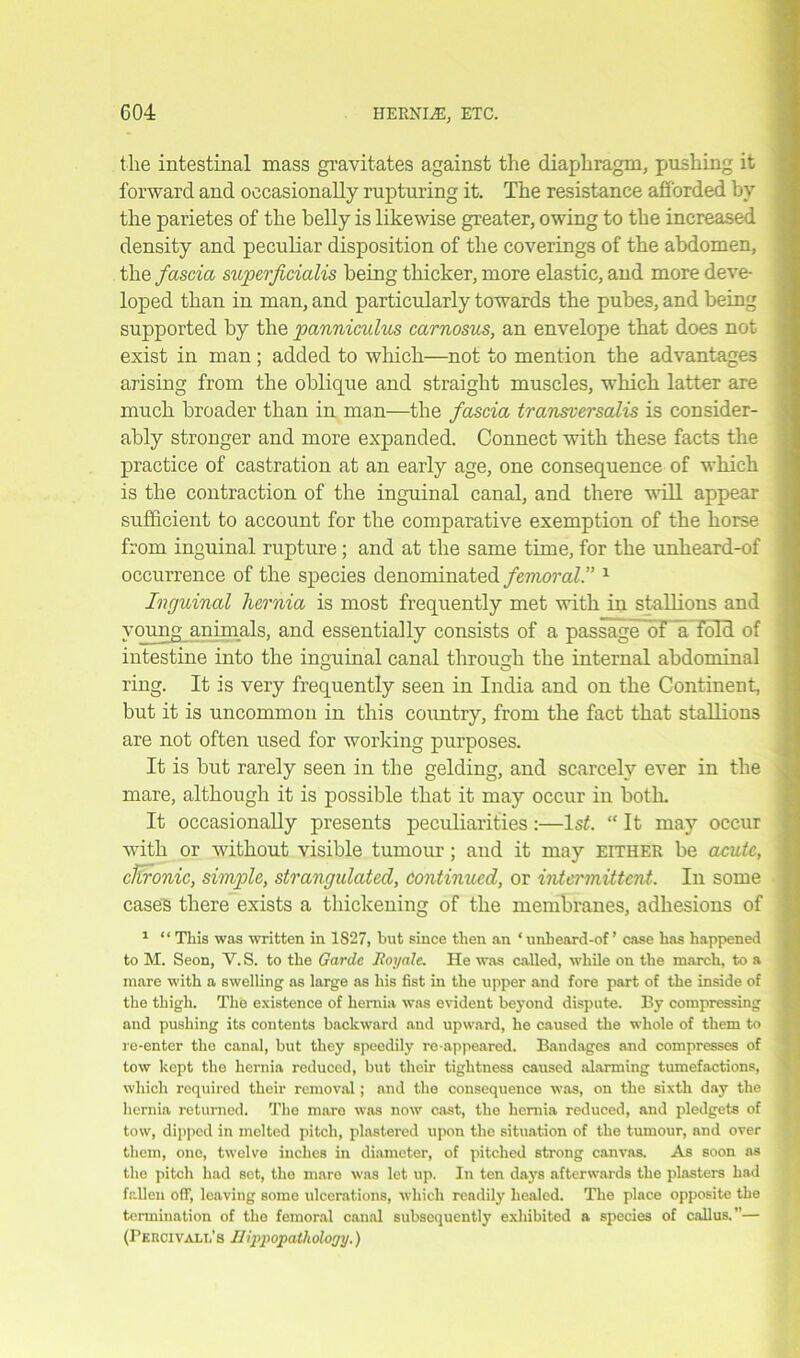 the intestinal mass gravitates against the diaphragm, pushing it forward and occasionally rupturing it. The resistance afforded by the parietes of the belly is likewise greater, owing to the increased density and peculiar disposition of the coverings of the abdomen, the fascia superficialis being thicker, more elastic, and more deve- loped than in man, and particularly towards the pubes, and being supported by the panniculus carnosus, an envelope that does not exist in man; added to which—not to mention the advantages arising from the oblique and straight muscles, which latter are much broader than in man—the fascia transversalis is consider- ably stronger and more expanded. Connect with these facts the practice of castration at an early age, one consequence of which is the contraction of the inguinal canal, and there will appear sufficient to account for the comparative exemption of the horse from inguinal rupture; and at the same time, for the unheard-of occurrence of the species denominated femoral. 1 Inguinal hernia is most frequently met with in stallions and young animals, and essentially consists of a passage of a Told of intestine into the inguinal canal through the internal abdominal ring. It is very frequently seen in India and on the Continent, but it is uncommon in this country, from the fact that stallions are not often used for working purposes. It is but rarely seen in the gelding, and scarcely ever in the mare, although it is possible that it may occur in both. It occasionally presents peculiarities:—1st. “ It may occur with or without visible tumour; and it may either be acute, cKronie, simple, strangulated, continued, or intermittent. In some cases there exists a thickening of the membranes, adhesions of 1 “ This was written in 1S27, but since then an ‘unheard-of’ case has happened to M. Seon, V. S. to the Garde Jtoyale. He was called, while on the march, to a mare with a swelling as large as his fist in the upper and fore part of the inside of the thigh. The existence of hernia was evident beyond dispute. By compressing and pushing its contents backward and upward, he caused the whole of them to re-enter the canal, but they speedily re appeared. Bandages and compresses of tow kept the hernia reduced, but their tightness caused alarming tumefactions, which required their removal; and the consequence was, on the sixth day the hernia returned. The mare was now cast, the hernia reduced, and pledgets of tow, dipped in melted pitch, plastered upon the situation of the tumour, and over them, one, twelve inches in diameter, of pitched strong canvas. As soon as the pitch had set, the mare was let up. In ten days afterwards the plasters had fallen off, leaving some ulcerations, which readily healed. The place opposite the termination of the femoral canal subsequently exhibited a species of callus.”— (Peiicivali.'s Eippopatliology.)