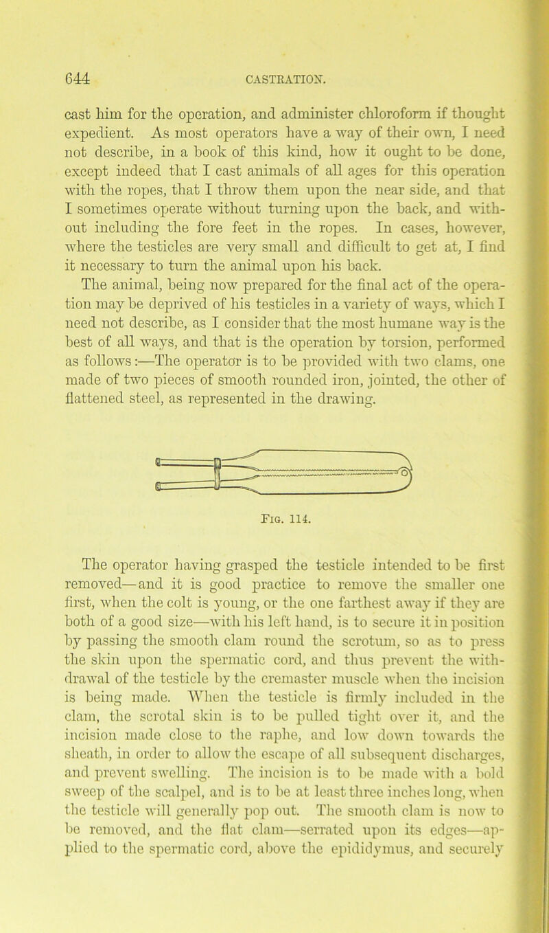 cast him for the operation, and administer chloroform if thought expedient. As most operators have a way of their own, I need not describe, in a hook of this kind, how it ought to he done, except indeed that I cast animals of all ages for this operation with the ropes, that I throw them upon the near side, and that I sometimes operate without turning upon the hack, and with- out including the fore feet in the ropes. In cases, however, where the testicles are very small and difficult to get at, I find it necessary to turn the animal upon his hack. The animal, being now prepared for the final act of the opera- tion may he deprived of his testicles in a variety of ways, which I need not describe, as I consider that the most humane way is the best of all ways, and that is the operation by torsion, performed as follows:—The operator is to he provided with two clams, one made of two pieces of smooth rounded iron, jointed, the other of flattened steel, as represented in the drawing. Fig. 114. The operator having grasped the testicle intended to he first removed—and it is good practice to remove the smaller one first, when the colt is young, or the one farthest away if they are both of a good size—with his left hand, is to secure it in position by passing the smooth clam round the scrotum, so as to press the skin upon the spermatic cord, and thus prevent the with- drawal of the testicle by the cremaster muscle when the incision is being made. When the testicle is firmly included in the clam, the scrotal skin is to be pulled tight over it, and the incision made close to the raphe, and low down towards the sheath, in order to allow the escape of all subsequent discharges, and prevent swelling. The incision is to be made with a bold sweep of the scalpel, and is to be at least three inches long, when the testicle will generally pop out. The smooth clam is now to be removed, and the flat clam—serrated upon its edges—ap- plied to the spermatic cord, above the epididymus, and securely