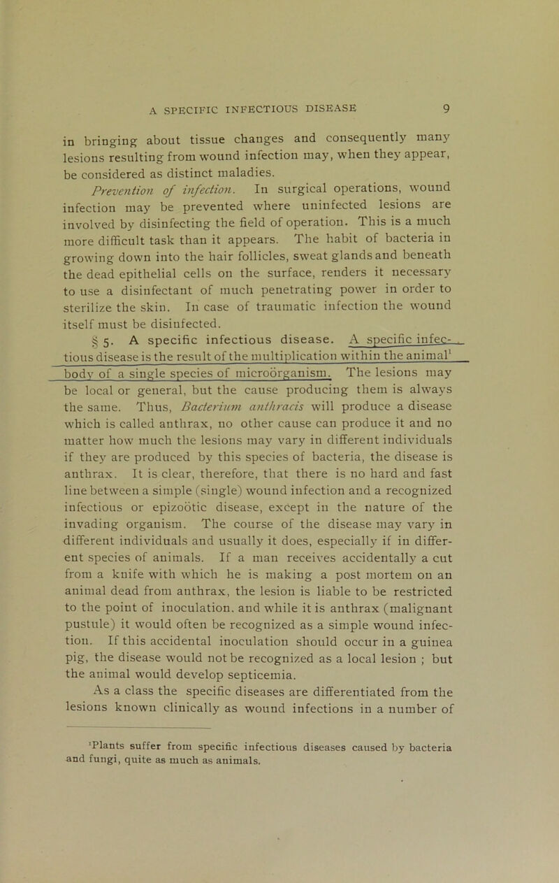 in bringing about tissue changes and consequently many lesions resulting from wound infection may, when they appear, be considered as distinct maladies. Prevention of infection. In surgical operations, wound infection may be prevented where uninfected lesions are involved by disinfecting the field of operation. This is a much more difficult task than it appears. The habit of bacteria in growing down into the hair follicles, sweat glands and beneath the dead epithelial cells on the surface, renders it necessary to use a disinfectant of much penetrating power in order to sterilize the skin. In case of traumatic infection the wound itself must be disiufected. § 5. A specific infectious disease. A specific infec- tious disease is the result of the multiplication within the animal1 body of a single species of microorganism. The lesions may be local or general, but the cause producing them is always the same. Thus, Bacterium anthracis will produce a disease which is called anthrax, no other cause can produce it and no matter how much the lesions may vary in different individuals if they are produced by this species of bacteria, the disease is anthrax. It is clear, therefore, that there is no hard and fast line between a simple (single) wound infection and a recognized infectious or epizootic disease, except in the nature of the invading organism. The course of the disease may vary in different individuals and usually it does, especially if in differ- ent species of animals. If a man receives accidentally a cut from a knife with which he is making a post mortem on an animal dead from anthrax, the lesion is liable to be restricted to the point of inoculation, and while it is anthrax (malignant pustule) it would often be recognized as a simple wound infec- tion. If this accidental inoculation should occur in a guinea pig, the disease would not be recognized as a local lesion ; but the animal would develop septicemia. As a class the specific diseases are differentiated from the lesions known clinically as wound infections in a number of 'Plants suffer from specific infectious diseases caused by bacteria and fungi, quite as much as animals.