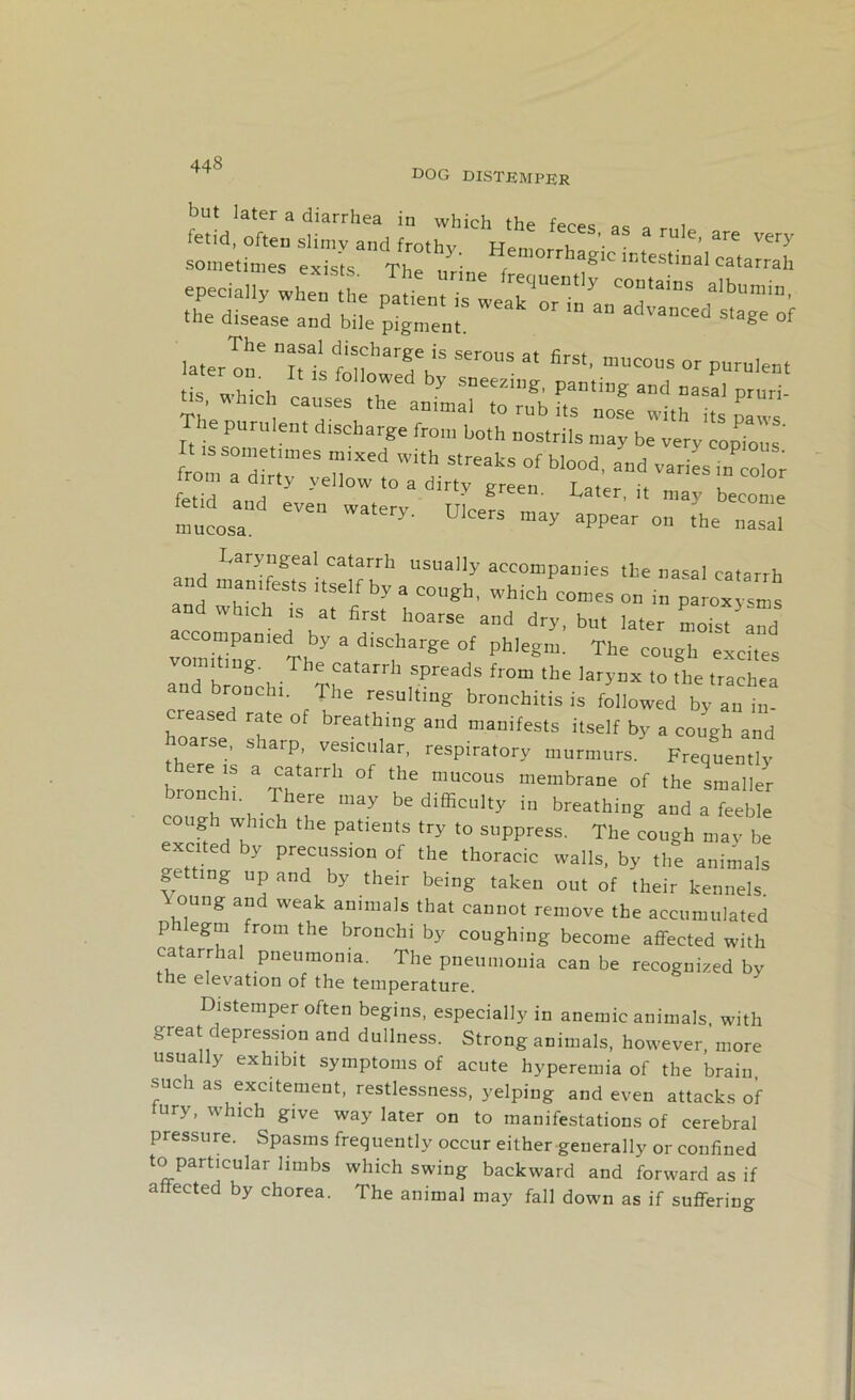 dog distemper but later a diarrhea in which the feces as a r„l fetid, often slimy and frothy Hemn n ’ are Very sometimes exists Thr /’• emorrhagic intestinal catarrah epecially when the patientTmTS C0IJtains albumin, the disease and bile pigment St3ge °f The purulent dtscharge front both nostrils ntay be very eopTous t is sometimes mined with streaks of blood, and variesTn “w from a dirty yellow to a dirty green Later, 1, ,,1^ become mucosa” 61611 Watery' Ulcers may aPPear on the nasal Laryngeal catarrh usually accompanies the nasal catarrh and manifests itself by a cough, which comes on in paroxysms and which is at first hoarse and dry, but later List and accompanied by a discharge of phlegm. The cough excites yomiting The catarrh spreads from the larynx to the trachea and bronchi. The resulting bronchitis is followed by an in- hoTr T athing and manifests itself by a cough and oarse, sharp, vesicular, respiratory murmurs. Frequently bronchi & rT^ °f T membrane of ^ smaller bronchi There may be difficulty in breathing and a feeble cough which the patients try to suppress. The cough may be exci e y precussion of the thoracic walls, by the animals getting up and by their being taken out of their kennels °Ung a“d weak an,mals that cannot remove the accumulated phlegm from the bronchi by coughing become affected with catarrhal pneumonia. The pneumonia can be recognized by the elevation of the temperature. Distemper often begins, especially in anemic animals, with great depression and dullness. Strong animals, however, more usually exhibit symptoms of acute hyperemia of the brain, such as excitement, restlessness, yelping and even attacks of fury, which give way later on to manifestations of cerebral pressure. Spasms frequently occur either generally or confined to particular limbs which swing backward and forward as if affected by chorea. The animal may fall down as if suffering