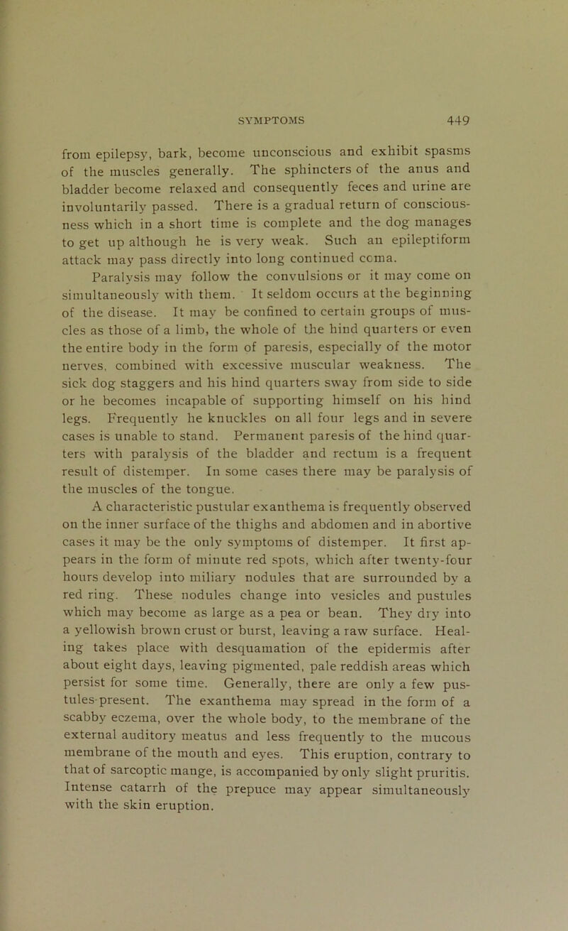 from epilepsy, bark, become unconscious and exhibit spasms of the muscles generally. The sphincters of the anus and bladder become relaxed and consequently feces and urine are involuntarily passed. There is a gradual return of conscious- ness which in a short time is complete and the dog manages to get up although he is very weak. Such an epileptiform attack may pass directly into long continued coma. Paralysis may follow the convulsions or it may come on simultaneously with them. It seldom occurs at the beginning of the disease. It may be confined to certain groups of mus- cles as those of a limb, the whole of the hind quarters or even the entire body in the form of paresis, especially of the motor nerves, combined with excessive muscular weakness. The sick dog staggers and his hind quarters sway from side to side or he becomes incapable of supporting himself on his hind legs. Frequently he knuckles on all four legs and in severe cases is unable to stand. Permanent paresis of the hind quar- ters with paralysis of the bladder and rectum is a frequent result of distemper. In some cases there may be paralysis of the muscles of the tongue. A characteristic pustular exanthema is frequently observed on the inner surface of the thighs and abdomen and in abortive cases it may be the only symptoms of distemper. It first ap- pears in the form of minute red spots, which after twenty-four hours develop into miliary nodules that are surrounded by a red ring. These nodules change into vesicles and pustules which may become as large as a pea or bean. They dry into a yellowish brown crust or burst, leaving a raw surface. Heal- ing takes place with desquamation of the epidermis after about eight days, leaving pigmented, pale reddish areas which persist for some time. Generally, there are only a few pus- tules-present. The exanthema may spread in the form of a scabby eczema, over the whole body, to the membrane of the external auditory meatus and less frequently to the mucous membrane of the mouth and eyes. This eruption, contrary to that of sarcoptic mange, is accompanied by only slight pruritis. Intense catarrh of the prepuce may appear simultaneously with the skin eruption.