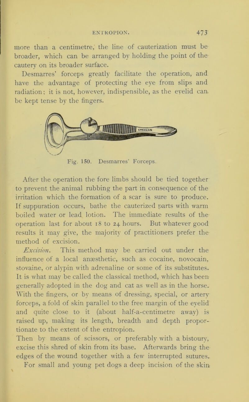 more than a centimetre, the line of cauterization must be broader, which can be arranged by holding the point of the cautery on its broader surface. Desmarres’ forceps greatly facilitate the operation, and have the advantage of protecting the eye from slips and radiation; it is not, however, indispensible, as the eyelid can be kept tense by the fingers. Fig. 150. Desmarres’ Forceps. After the operation the fore limbs should be tied together to prevent the animal rubbing the part in consequence of the irritation which the formation of a scar is sure to produce. If suppuration occurs, bathe the cauterized parts with warm boiled water or lead lotion. The immediate results of the operation last for about 18 to 2\ hours. But whatever good results it may give, the majority of practitioners prefer the method of excision. Excision. This method may be carried out under the influence of a local anaesthetic, such as cocaine, novocain, stovaine, or alypin with adrenaline or some of its substitutes. It is what may be called the classical method, which has been generally adopted in the dog and cat as well as in the horse. With the fingers, or by means of dressing, special, or artery forceps, a fold of skin parallel to the free margin of the eyelid and quite close to it (about half-a-centimetre away) is raised up, making its length, breadth and depth propor- tionate to the extent of the entropion. Then by means of scissors, or preferably with a bistourv, excise this shred of skin from its base. Afterwards bring the edges of the wound together with a few interrupted sutures. For small and young pet dogs a deep incision of the skin