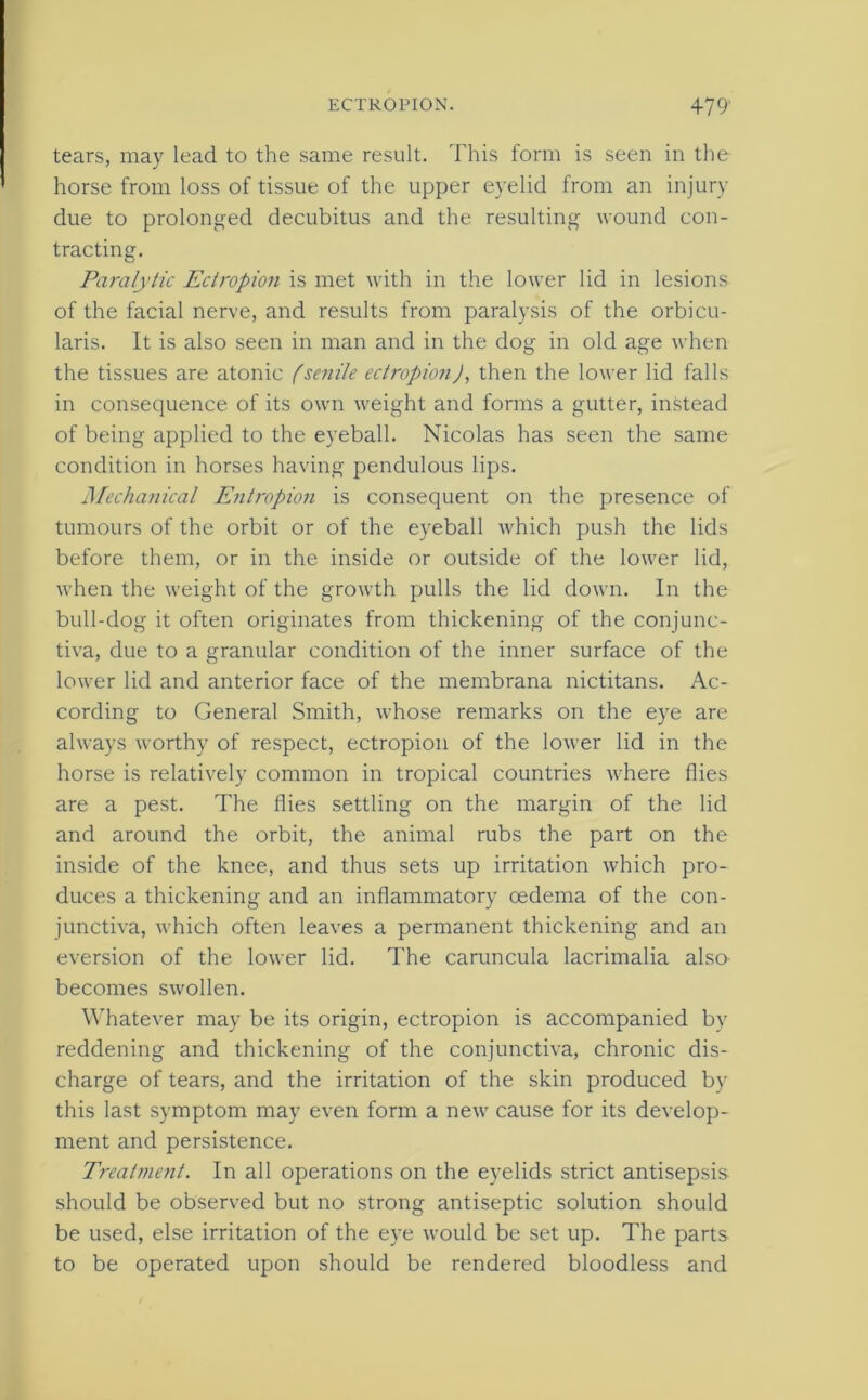 tears, may lead to the same result. This form is seen in the horse from loss of tissue of the upper eyelid from an injury due to prolonged decubitus and the resulting wound con- tracting. Paralytic Ectropion is met with in the lower lid in lesions of the facial nerve, and results from paralysis of the orbicu- laris. It is also seen in man and in the dog in old age when the tissues are atonic (senile ectropion), then the lower lid falls in consequence of its own weight and forms a gutter, instead of being applied to the eyeball. Nicolas has seen the same condition in horses having pendulous lips. Mechanical Entropion is consequent on the presence of tumours of the orbit or of the eyeball which push the lids before them, or in the inside or outside of the lower lid, when the weight of the growth pulls the lid down. In the bull-dog it often originates from thickening of the conjunc- tiva, due to a granular condition of the inner surface of the lower lid and anterior face of the membrana nictitans. Ac- cording to General Smith, whose remarks on the eye are always worthy of respect, ectropion of the lower lid in the horse is relatively common in tropical countries where flies are a pest. The flies settling on the margin of the lid and around the orbit, the animal rubs the part on the inside of the knee, and thus sets up irritation which pro- duces a thickening and an inflammatory oedema of the con- junctiva, which often leaves a permanent thickening and an eversion of the lower lid. The caruncula lacrimalia alsa becomes swollen. Whatever may be its origin, ectropion is accompanied by reddening and thickening of the conjunctiva, chronic dis- charge of tears, and the irritation of the skin produced by this last symptom may even form a new cause for its develop- ment and persistence. Treatment. In all operations on the eyelids strict antisepsis should be observed but no strong antiseptic solution should be used, else irritation of the eye would be set up. The parts to be operated upon should be rendered bloodless and