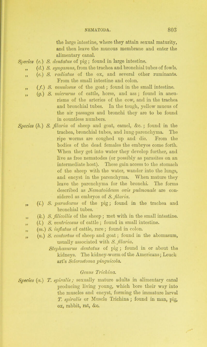 tlie large intestine, where they attain sexual maturity, and then leave the mucous membrane and enter the alimentary canal. Species (c.) S. dentatus of pig ; found in large intestine. „ (d.) S. syngamus, from the trachea and bronchial tubes of fowls. „ (e.) S. radiatus of the ox, and several other ruminants. From the small intestine and colon. „ (/.) S. venulosus of the goat; found in the small intestine. „ (g.) S. micrurus of cattle, horse, and ass ; found in aneu- risms of the arteries of the cow, and in the trachea and bronchial tubes. In the tough, yellow mucus of the air passages and bronchi they are to he found in countless numbers. Species (h.) S. filaria of sheep and goat, camel, &c. ; found in the trachea, bronchial tubes, and lung-parenchyma. The ripe worms are coughed, up and die. From the bodies of the dead females the embryos come forth. When they get into water they develop further, and live as free nematodes (or possibly as parasites on an intermediate host). These gain access to the stomach of the sheep with the water, wander into the lungs, and encyst in the parenchyma. When mature they leave the parenchyma for the bronchi. The forms described as Nematoideum ovis pulmonale are con- sidered as embryos of S. filaria. „ (i.) S. paradoxus of the pig; found in the trachea and bronchial tubes. „ (7c.) S. filicollis of the sheep ; met with in the small intestine. „ (7.) S. ventricosus of cattle ; found in small intestine. „ (m.) S. inflatus of cattle, rare ; found in colon. „ (n.) S. contortus of sheep and goat; found in the abomasum, usually associated with S. filaria, Stephanurus dentcdus of pig ; found in or about the kidneys. The kidney-worm of the Americans; Leuck art’s Sclerostoma pinguicola. Genus Trichina. Species (a.) T. spiralis; sexually mature adults in alimentary canal producing living young, which bore their way into the muscles and encyst, forming the immature larval T. spiralis or Muscle Trichina; found in man, pig, ox, rabbit, rat, &c.