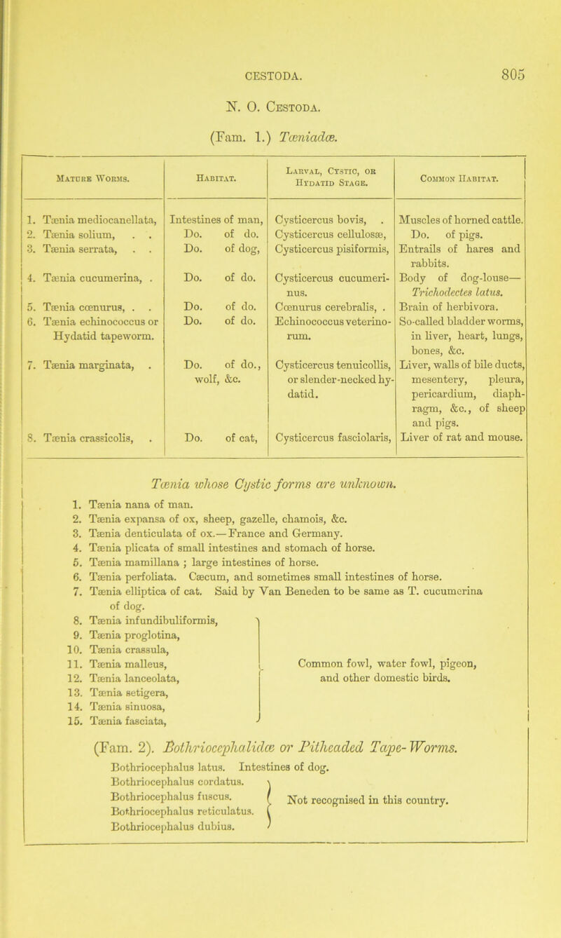 N. 0. Cestoda. (Fam. 1.) Tceniadce. Mature Worms. Habitat. Larval, Cystic, or IIvdatid Stage. Common Habitat. 1. Taenia mediocanellata, Intestines of man, Cysticercus bovis, Muscles of horned cattle. 2. Taenia solium, Do. of do. Cysticercus cellulosae, Do. of pigs. 3. Taenia serrata. Do. of dog, Cysticercus pisiformis, Entrails of hares and rabbits. 4. Taenia cucumerina, . Do. of do. Cysticercus cucumeri- nus. Body of dog-louse— Trichoclectes latus. 5. Taenia ccenurus, . Do. of do. Coenurus cerebralis, . Brain of herbivora. 6. Taenia echinococcus or Hydatid tapeworm. Do. of do. Echinococcus veterino- rum. So-called bladder worms, in liver, heart, lungs, bones, &c. 7. Taenia marginata, Do. of do., wolf, &c. Cysticercus tenuicollis, or slender-necked hy- datid. Liver, walls of bile ducts, mesentery, pleura, pericardium, diaph- ragm, &c., of sheep and pigs. 8. Taenia crassicolis. Do. of cat, Cysticercus fasciolaris, Liver of rat and mouse. Tcenia whose Cystic forms are unknown. 1. Taenia nana of man. 2. Taenia expansa of ox, sheep, gazelle, chamois, &c. 3. Taenia denticulata of ox.—France and Germany. 4. Taenia plicata of small intestines and stomach of horse. 5. Taenia mamillana ; large intestines of horse. 6. Taenia perfoliata. Caecum, and sometimes small intestines of horse. 7. Taenia elliptica of cat. Said by Yan Beneden to be same as T. cucumerina of dog. 8. Taenia infundibuliformis, 9. Taenia proglotina, 10. Taenia crassula, 11. Taenia malleus, 12. Taenia lanceolata, 13. Taenia setigera, 14. Taenia sinuosa, 15. Taenia fasciata, (Fam. 2). Pothrioccphalidce or Pill leaded Tape- Worms. Bothriocephalus latus. Intestines of dog. Bothriocephalus cordatus. Bothriocephalus fuscus. [ rec0gnised in this country. Bothriocephalus reticulatus. Bothriocephalus dubius. Common fowl, water fowl, pigeon, and other domestic birds.