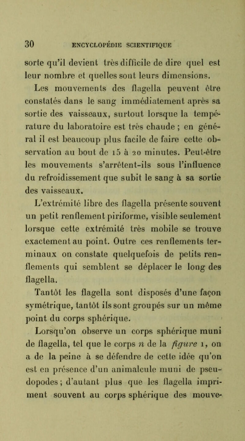 sorte qu’il devient très difficile de dire quel est leur nombre et quelles sont leurs dimensions. Les mouvements des flagella peuvent être constatés dans le sang immédiatement après sa sortie des vaisseaux, surtout lorsque la tempé- rature du laboratoire est très cbaude ; en géné- ral il est beaucoup plus facile de faire cette ob- servation au bout de i5 à 20 minutes. Peut-être les mouvements s’arrêtent-ils sous l’influence du refroidissement que subit le sang à sa sortie des vaisseaux. L’extrémité libre des flagella présente souvent un petit renflement piriforme, visible seulement lorsque cette extrémité très mobile se trouve exactement au point. Outre ces renflements ter- minaux on constate quelquefois de petits ren- flements qui semblent se déplacer le long des flagella. Tantôt les flagella sont disposés d’une façon symétrique, tantôt ils sont groupés sur un même point du corps sphérique. Lorsqu’on observe un corps sphérique muni de flagella, tel que le corps n de la figure 1, on a de la peine à se défendre de cette idée qu’on est en présence d’un animalcule muni de pseu- dopodes ; d’autant plus que les flagella impri- ment souvent au corps sphérique des mouve-