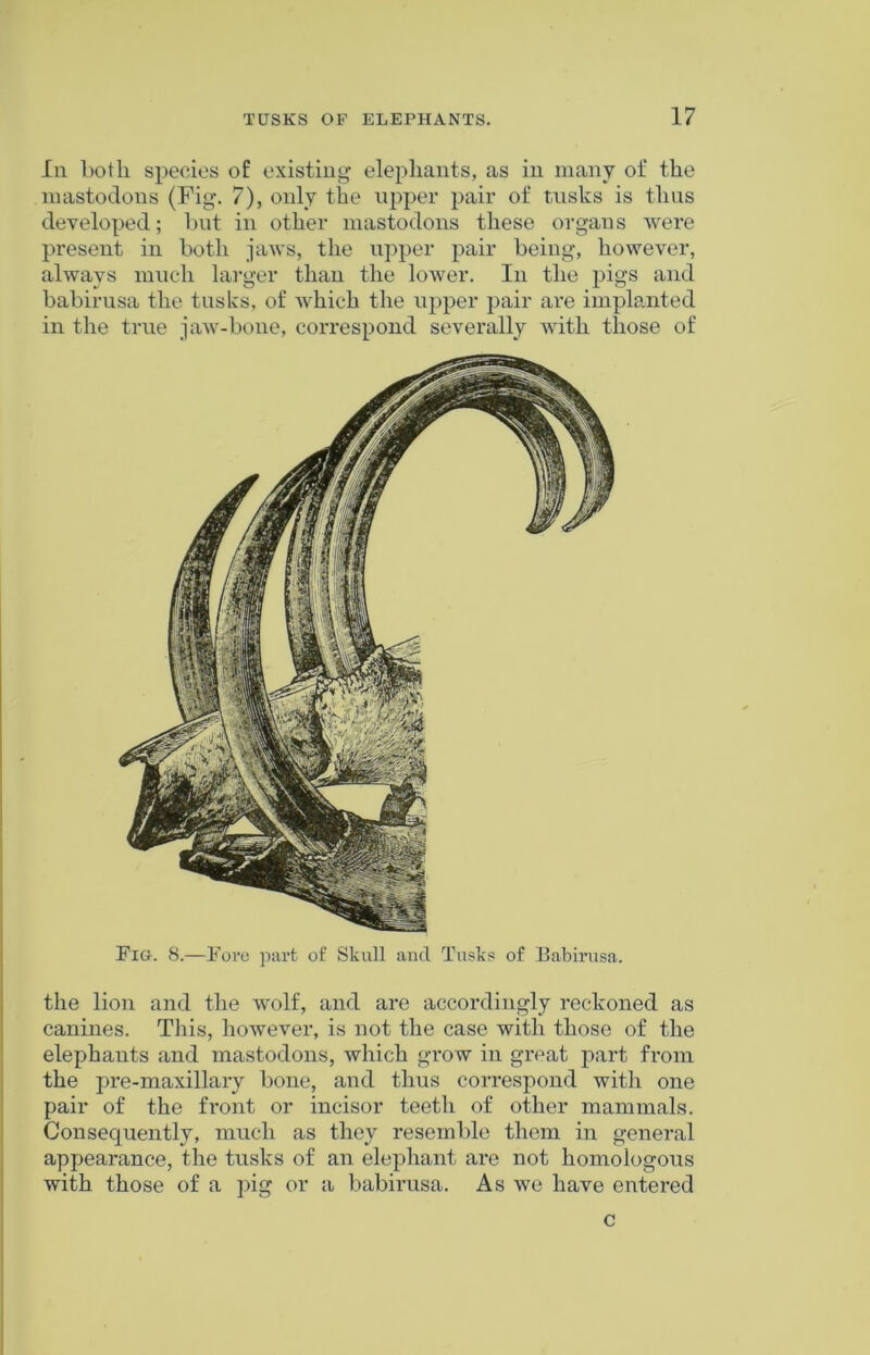 In both species of existing elephants, as in many of the mastodons (Fig. 7), only the upper pair of tusks is thus developed; but in other mastodons these organs were present in both jaws, the upper pair being, however, always much larger than the lower. In the pigs and babirusa the tusks, of which the upper pair are implanted in the true jaw-bone, correspond severally with those of the lion and the wolf, and are accordingly reckoned as canines. This, however, is not the case with those of the elephants and mastodons, which grow in great part from the pre-maxillary bone, and thus correspond with one pair of the front or incisor teeth of other mammals. Consequently, much as they resemble them in general appearance, the tusks of an elephant are not homologous with those of a pig or a babirusa. As we have entered c