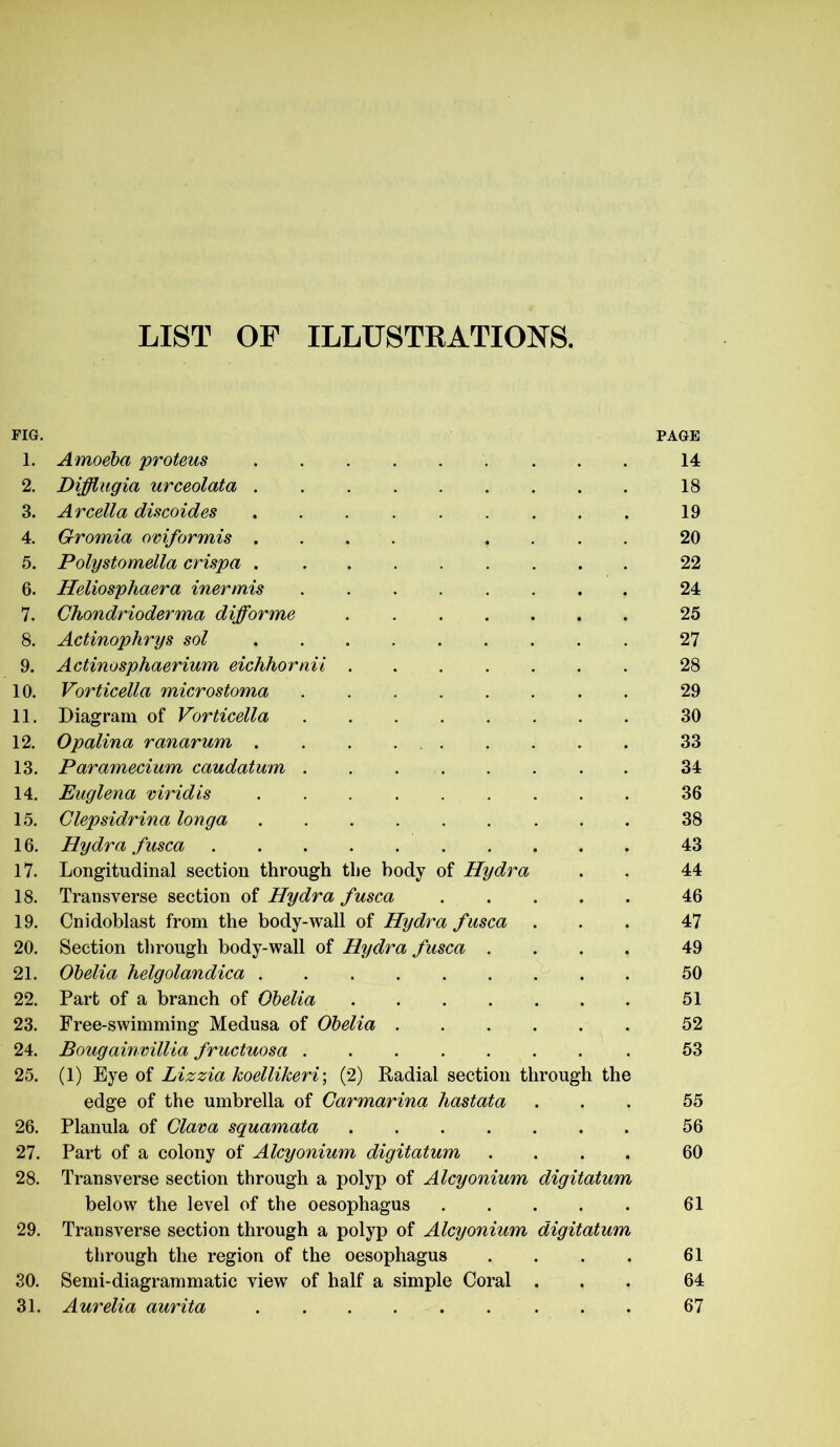 LIST OF ILLUSTRATIONS. FIG. PAGE 1. Amoeba proteus 14 2. Difflugia urceolata 18 3. Arcella discoides 19 4. Gromia omformis .... .... 20 5. Polystomella crispa 22 6. Heliosphaera inermis 24 7. Chondrioderma difforme 25 8. Actinophrys sol 27 9. Actinosphaerium eichhornii 28 10. Vorticella microstoma 29 11. Diagram of Vorticella 30 12. Opalina ranarum 33 13. Paramecium caudatum 34 14. Euglena viridis 36 15. Clepsidrina longa 38 16. Hydra fusca 43 17. Longitudinal section through the body of Hydra . . 44 18. Transverse section of Hydra fusca 46 19. Cnidoblast from the body-wall of Hydra fusca ... 47 20. Section through body-wall of Hydra fusca .... 49 21. Obelia helgolandica 50 22. Part of a branch of Obelia 51 23. Free-swimming Medusa of Obelia 52 24. Bougainvillia fructuosa 53 25. (1) Eye of Lizzia koellikeri; (2) Radial section through the edge of the umbrella of Gar marina hastata ... 55 26. Planula of Clava squamata 56 27. Part of a colony of Alcyonium digitatum .... 60 28. Transverse section through a polyp of Alcyonium digitatum below the level of the oesophagus 61 29. Transverse section through a polyp of Alcyonium digitatum through the region of the oesophagus . . . . 61 30. Semi-diagrammatic view of half a simple Coral ... 64 31. Aurelia aurita 67