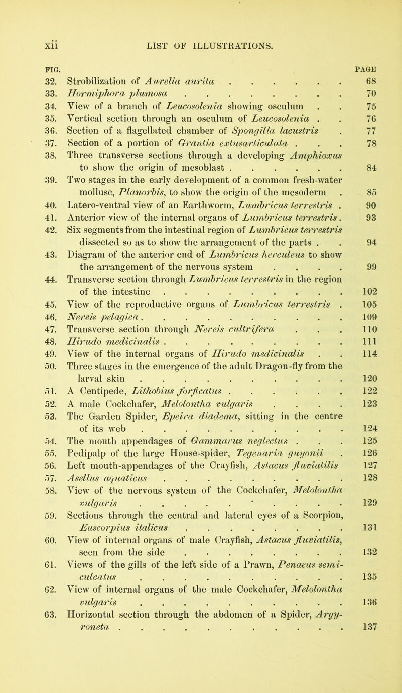 FIG. PAGE 32. Strobilization of Aurelia aurita 68 33. Hormiphora plumosa 70 34. View of a branch of Leucosolenia showing osculum . . 75 35. Vertical section through an osculum of Leucosolenia . . 76 36. Section of a flagellated chamber of Spongilla lacustris . 77 37. Section of a portion of Grantia extusarticulata . . . 78 38. Three transverse sections through a developing Amphioxus to show the origin of mesoblast 84 39. Two stages in the early development of a common fresh-water mollusc, Planorbis, to show the origin of the mesoderm . 85 40. Latero-ventral view of an Earthworm, Lumbricus terrestris . 90 41. Anterior view of the internal organs of Lumbricus terrestris. 93 42. Six segments from the intestinal region of Lumbricus terrestris dissected so as to show the arrangement of the parts . . 94 43. Diagram of the anterior end of Lumbricus herculeus to show the arrangement of the nervous system .... 99 44. Transverse section through Lumbricus terrestris in the region of the intestine 102 45. View of the reproductive organs of Lumbricus terrestris . 105 46. Nereis pelagica 109 47. Transverse section through Nereis cultrifera . . . 110 48. Llirudo medicinalis . . Ill 49. View of the internal organs of Hirudo medicinalis . . 114 50. Three stages in the emergence of the adult Dragon-fly from the larval skin 120 51. A Centipede, Lithobius forjicatus 122 52. A male Cockchafer, Melolontha vulgaris . . . . 123 53. The Garden Spider, Epeira diadema, sitting in the centre of its web 124 54. The mouth appendages of Gammarus neglectus . . . 125 55. Pedipalp of the large House-spider, Tegenaria guyonii . 126 56. Left mouth-appendages of the Crayfish, Astacus Jluviatilis 127 57. Asellus aquaticus 128 58. View of the nervous system of the Cockchafer, Melolontha vulgaris ‘ 129 59. Sections through the central and lateral eyes of a Scorpion, Euscorpius italicus 131 60. View of internal organs of male Crayfish, Astacus jluviatilis, seen from the side 132 61. Views of the gills of the left side of a Prawn, Penaeus semi- culcatus 135 62. View of internal organs of the male Cockchafer, Melolontha vulgaris 136 63. Horizontal section through the abdomen of a Spider, Argy- roneta 137
