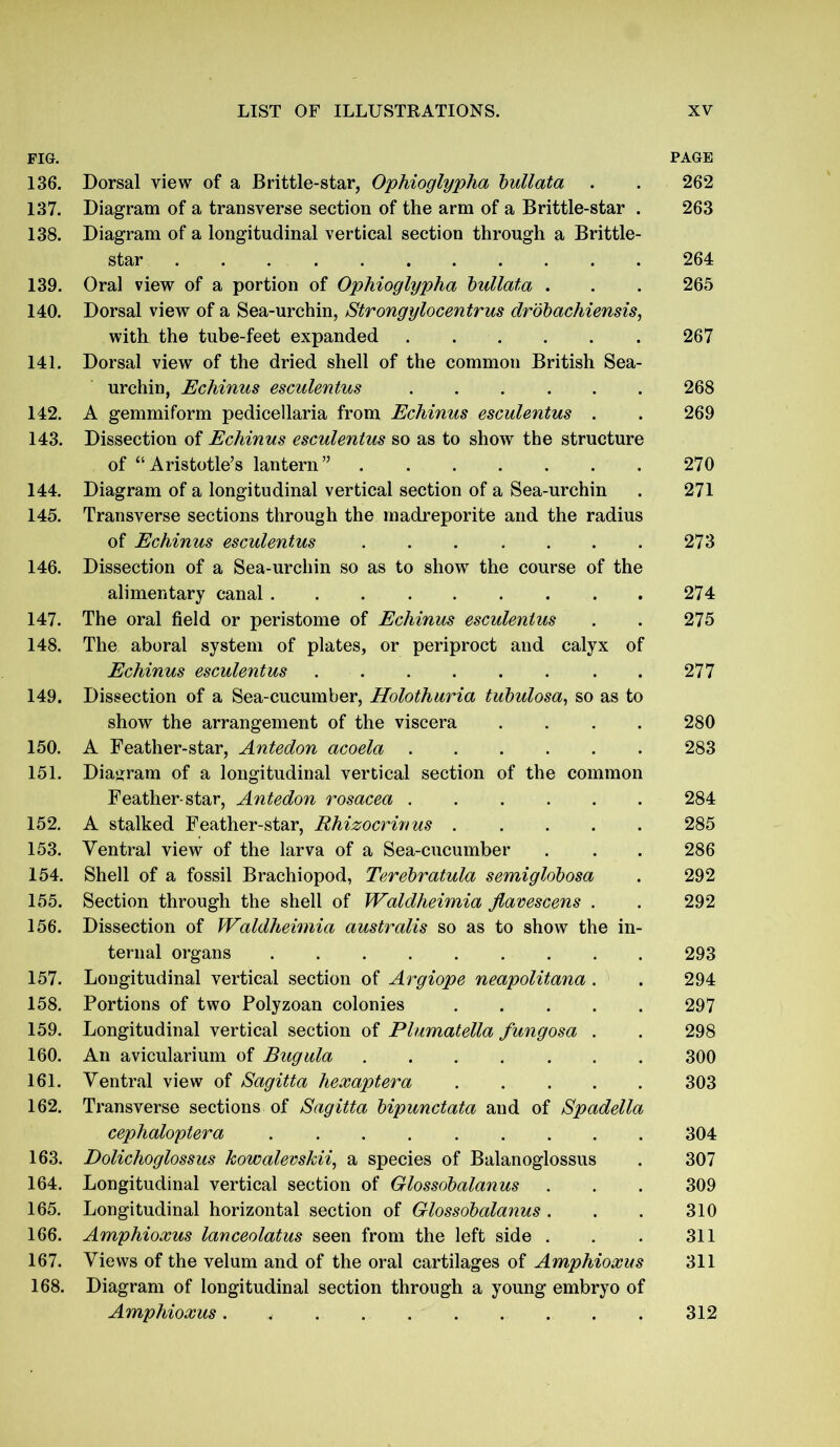 FIG. PAGE 136. Dorsal view of a Brittle-star, Ophioglypha bullata . . 262 137. Diagram of a transverse section of the arm of a Brittle-star . 263 138. Diagram of a longitudinal vertical section through a Brittle- star 264 139. Oral view of a portion of Ophioglypha bullata . . . 265 140. Dorsal view of a Sea-urchin, Strongylocentrus drobachiensis, with the tube-feet expanded 267 141. Dorsal view of the dried shell of the common British Sea- urchin, Echinus esculentus 268 142. A gemmiform pedicellaria from Echinus esculentus . . 269 143. Dissection of Echinus esculentus so as to show the structure of “Aristotle’s lantern” 270 144. Diagram of a longitudinal vertical section of a Sea-urchin . 271 145. Transverse sections through the madreporite and the radius of Echinus esculentus 273 146. Dissection of a Sea-urchin so as to show the course of the alimentary canal 274 147. The oral field or peristome of Echinus esculentus . . 275 148. The aboral system of plates, or periproct and calyx of Echinus esculentus 277 149. Dissection of a Sea-cucumber, Holothuria tubulosa, so as to show the arrangement of the viscera .... 280 150. A Feather-star, Antedon acoela 283 151. Diagram of a longitudinal vertical section of the common Feather-star, Antedon rosacea 284 152. A stalked Feather-star, Rhizocrinus 285 153. Ventral view of the larva of a Sea-cucumber . . . 286 154. Shell of a fossil Brachiopod, Terebratula semiglobosa . 292 155. Section through the shell of Waldheimia Jlavescens . . 292 156. Dissection of Waldheimia australis so as to show the in- ternal organs 293 157. Longitudinal vertical section of Argiope neapolitana . . 294 158. Portions of two Polyzoan colonies 297 159. Longitudinal vertical section of Plumatella fungosa . . 298 160. An avicularium of Bugula 300 161. Ventral view of Sagitta hexaptera 303 162. Transverse sections of Sagitta bipunctata and of Spadella cephaloptera 304 163. Dolichoglossus kowalevskii, a species of Balanoglossus . 307 164. Longitudinal vertical section of Glossobalanus . . . 309 165. Longitudinal horizontal section of Glossobalanus . . . 310 166. Amphioxus lanceolatus seen from the left side . . . 311 167. Views of the velum and of the oral cartilages of Amphioxus 311 168. Diagram of longitudinal section through a young embryo of Amphioxus. 312