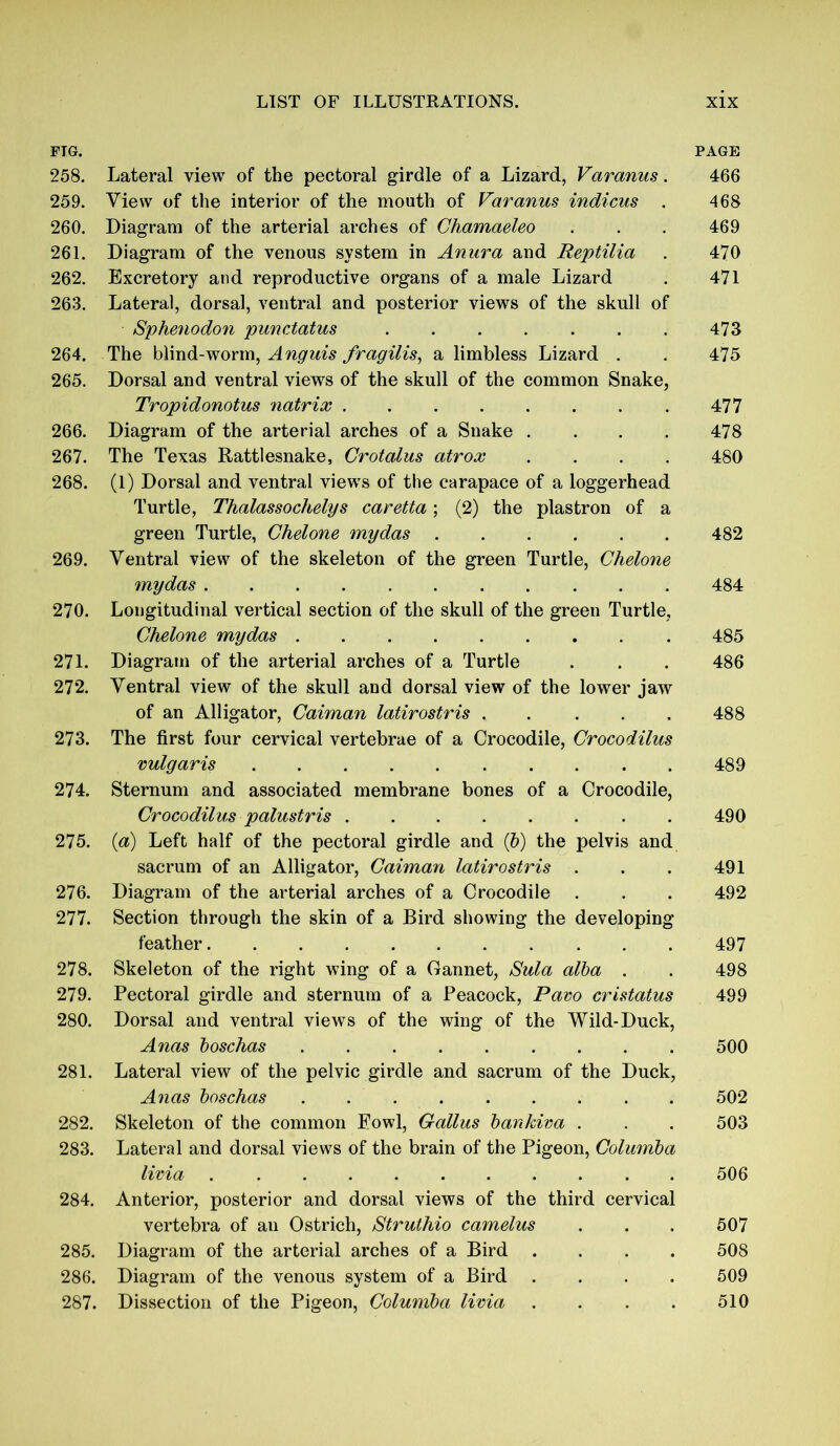 FIG. PAGE 258. Lateral view of the pectoral girdle of a Lizard, Varanus. 466 259. View of the interior of the mouth of Varanus indicus . 468 260. Diagram of the arterial arches of Chamaeleo . . . 469 261. Diagram of the venous system in Anura and Reptilia . 470 262. Excretory and reproductive organs of a male Lizard . 471 263. Lateral, dorsal, ventral and posterior views of the skull of Sphenodon punctatus 473 264. The blind-worm, Anguis fragilis, a limbless Lizard . . 475 265. Dorsal and ventral views of the skull of the common Snake, Tropidonotus natrix 477 266. Diagram of the arterial arches of a Snake . . . . 478 267. The Texas Rattlesnake, Crotalus atrox .... 480 268. (1) Dorsal and ventral views of the carapace of a loggerhead Turtle, Thalassochelys caretta; (2) the plastron of a green Turtle, Ghelone mydas 482 269. Ventral view of the skeleton of the green Turtle, Chelone mydas 484 270. Longitudinal vertical section of the skull of the green Turtle, Ghelone mydas 485 271. Diagram of the arterial arches of a Turtle . . . 486 272. Ventral view of the skull and dorsal view of the lower jaw of an Alligator, Gaiman latirostris 488 273. The first four cervical vertebrae of a Crocodile, Grocodilus vulgaris 489 274. Sternum and associated membrane bones of a Crocodile, Grocodilus palustris 490 275. (a) Left half of the pectoral girdle and (&) the pelvis and sacrum of an Alligator, Gaiman latirostris . . . 491 276. Diagram of the arterial arches of a Crocodile . . . 492 277. Section through the skin of a Bird showing the developing feather 497 278. Skeleton of the right wing of a Gannet, Sula alba . . 498 279. Pectoral girdle and sternum of a Peacock, Pavo cristatus 499 280. Dorsal and ventral views of the wing of the Wild-Duck, Anas boschas 500 281. Lateral view of the pelvic girdle and sacrum of the Duck, Anas boschas . . 502 282. Skeleton of the common Eowl, Gallus bankiva . . . 503 283. Lateral and dorsal views of the brain of the Pigeon, Columba livia 506 284. Anterior, posterior and dorsal views of the third cervical vertebra of an Ostrich, Struthio camelus . . . 507 285. Diagram of the arterial arches of a Bird .... 508 286. Diagram of the venous system of a Bird .... 509 287. Dissection of the Pigeon, Golumba livia . . . . 510