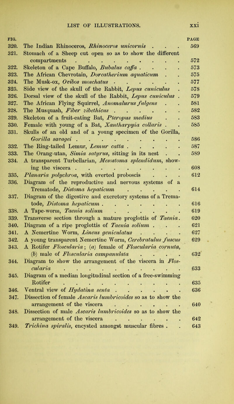 FIG. 320. The Indian Rhinoceros, Rhinoceros unicornis . 321. Stomach of a Sheep cut open so as to show the different compartments 322. Skeleton of a Cape Buffalo, Bubalus caffa .... 323. The African Chevrotain, Dorcatherium aquaticum 324. The Musk-ox, Ovibos moschatus 325. Side view of the skull of the Rabbit, Lepus cuniculus 326. Dorsal view of the skull of the Rabbit, Lepus cuniculus . 327. The African Flying Squirrel, Anomalurus fulgens 328. The Musquash, Fiber zibethicus 329. Skeleton of a fruit-eating Bat, Pter opus medius 330. Female with young of a Bat, Xantharpyia collaris . 331. Skulls of an old and of a young specimen of the Gorilla, Gorilla savagei 332. The Ring-tailed Lemur, Lemur catta 333. The Orang-utan, Simia satyrus, sitting in its nest 334. A transparent Turbellarian, Mesostoma splendidum, show- ing the viscera 335. Planaria polychroa, with everted proboscis 336. Diagram of the reproductive and nervous systems of a Trematode, Distoma hepaticum 337. Diagram of the digestive and excretory systems of a Trema- tode, Distoma hepaticum 338. A Tape-worm, Taenia solium 339. Transverse section through a mature proglottis of Taenia. 340. Diagram of a ripe proglottis of Taenia solium . 341. A Nemertine Worm, Lineus geniculatus . 342. A young transparent Nemertine Worm, Gerebratulus fuscus 343. A Rotifer Floscularia; {a) female of Floscularia cornuta, (b) male of Floscularia campanulata .... 344. Diagram to show the arrangement of the viscera in Flos- cularia 345. Diagram of a median longitudinal section of a free-swimming Rotifer 346. Ventral view of Hydatina senta 347. Dissection of female Ascaris lumbricoides so as to show the arrangement of the viscera 348. Dissection of male Ascaris lumbricoides so as to show the arrangement of the viscera 349. Trichina spiralis, encysted amongst muscular fibres . PAGE 569 572 573 575 577 578 579 581 582 583 585 586 587 589 608 612 614 616 619 620 621 627 629 632 633 635 636 640 642 643