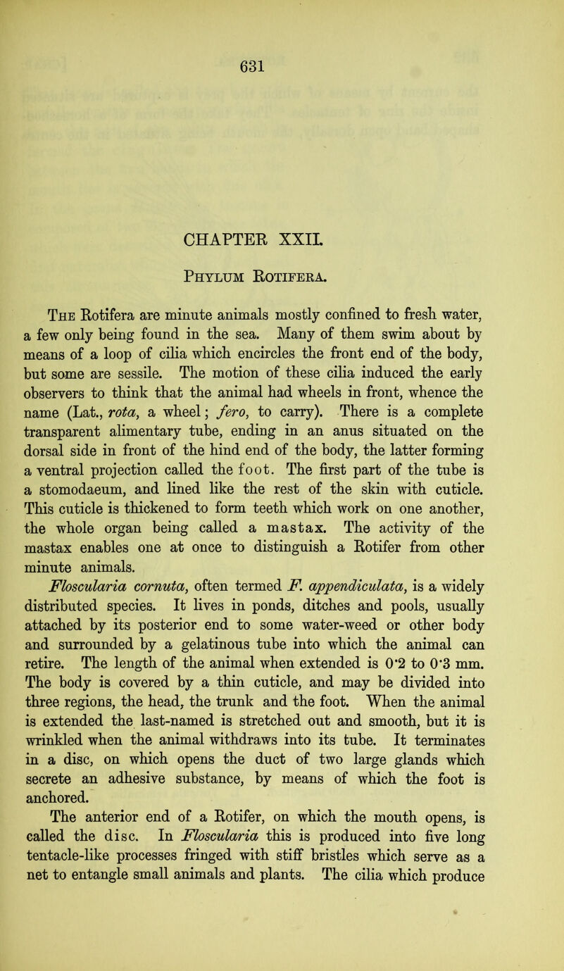 CHAPTER XXIL Phylum Rotifera. The Rotifera are minute animals mostly confined to fresh water, a few only being found in the sea. Many of them swim about by means of a loop of cilia which encircles the front end of the body, but same are sessile. The motion of these cilia induced the early observers to think that the animal had wheels in front, whence the name (Lat., rota, a wheel; fero, to carry). There is a complete transparent alimentary tube, ending in an anus situated on the dorsal side in front of the hind end of the body, the latter forming a ventral projection called the foot. The first part of the tube is a stomodaeum, and lined like the rest of the skin with cuticle. This cuticle is thickened to form teeth which work on one another, the whole organ being called a mas tax. The activity of the mastax enables one at once to distinguish a Rotifer from other minute animals. Floscularia cornuta, often termed F. appendiculata, is a widely distributed species. It lives in ponds, ditches and pools, usually attached by its posterior end to some water-weed or other body and surrounded by a gelatinous tube into which the animal can retire. The length of the animal when extended is 0*2 to 0*3 mm. The body is covered by a thin cuticle, and may be divided into three regions, the head, the trunk and the foot. When the animal is extended the last-named is stretched out and smooth, but it is wrinkled when the animal withdraws into its tube. It terminates in a disc, on which opens the duct of two large glands which secrete an adhesive substance, by means of which the foot is anchored. The anterior end of a Rotifer, on which the mouth opens, is called the disc. In Floscularia this is produced into five long tentacle-like processes fringed with stiff bristles which serve as a net to entangle small animals and plants. The cilia which produce