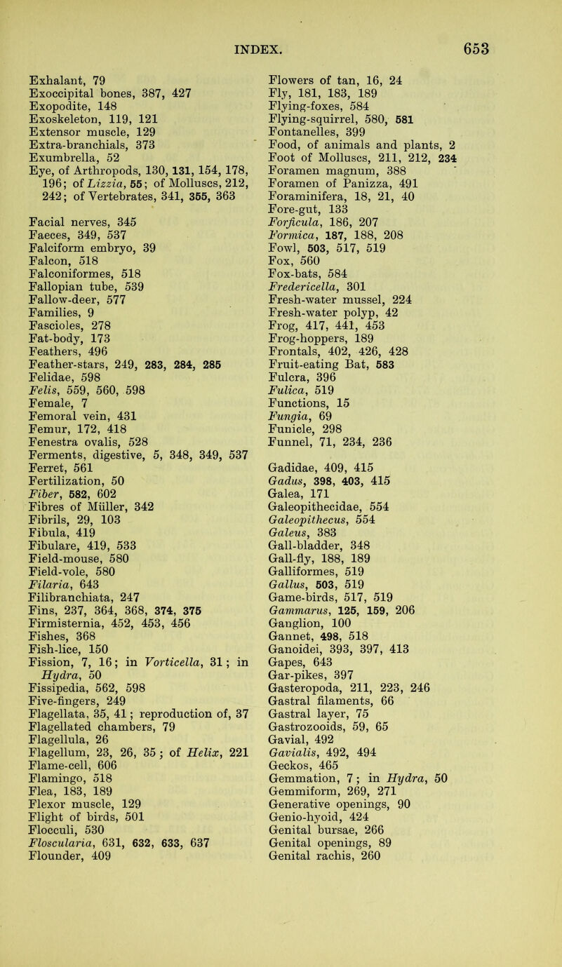 Exhalant, 79 Exoccipital bones, 387, 427 Exopodite, 148 Exoskeleton, 119, 121 Extensor muscle, 129 Extra-branchials, 373 Exumbrella, 52 Eye, of Arthropods, 130, 131, 154, 178, 196; of Lizzia, 55; of Molluscs, 212, 242; of Vertebrates, 341, 355, 363 Facial nerves, 345 Faeces, 349, 537 Falciform embryo, 39 Falcon, 518 Falconiformes, 518 Fallopian tube, 539 Fallow-deer, 577 Families, 9 Fascioles, 278 Fat-body, 173 Feathers, 496 Feather-stars, 249, 283, 284, 285 Felidae, 598 Felts, 559, 560, 598 Female, 7 Femoral vein, 431 Femur, 172, 418 Fenestra ovalis, 528 Ferments, digestive, 5, 348, 349, 537 Ferret, 561 Fertilization, 50 Fiber, 582, 602 Fibres of Muller, 342 Fibrils, 29, 103 Fibula, 419 Fibulare, 419, 533 Field-mouse, 580 Field-vole, 580 Filaria, 643 Filibranchiata, 247 Fins, 237, 364, 368, 374, 375 Firmisternia, 452, 453, 456 Fishes, 368 Fish-lice, 150 Fission, 7, 16; in Vorticella, 31; in Hydra, 50 Fissipedia, 562, 598 Five-fingers, 249 Flagellata, 35, 41; reproduction of, 37 Flagellated chambers, 79 Flagellula, 26 Flagellum, 23, 26, 35; of Helix, 221 Flame-cell, 606 Flamingo, 518 Flea, 183, 189 Flexor muscle, 129 Flight of birds, 501 Flocculi, 530 Floscularia, 631, 632, 633, 637 Flounder, 409 Flowers of tan, 16, 24 Fly, 181, 183, 189 Flying-foxes, 584 Flying-squirrel, 580, 581 Fontanelles, 399 Food, of animals and plants, 2 Foot of Molluscs, 211, 212, 234 Foramen magnum, 388 Foramen of Panizza, 491 Foraminifera, 18, 21, 40 Fore-gnt, 133 Forjicula, 186, 207 Formica, 187, 188, 208 Fowl, 503, 517, 519 Fox, 560 Fox-bats, 584 Fredericella, 301 Fresh-water mussel, 224 Fresh-water polyp, 42 Frog, 417, 441, 453 Frog-hoppers, 189 Frontals, 402, 426, 428 Fruit-eating Bat, 583 Fulcra, 396 Fulica, 519 Functions, 15 Fungia, 69 Funicle, 298 Funnel, 71, 234, 236 Gadidae, 409, 415 Gadus, 398, 403, 415 Galea, 171 Galeopithecidae, 554 Galeopithecus, 554 Galeus, 383 Gall-bladder, 348 Gall-fly, 188, 189 Galliformes, 519 Galius, 503, 519 Game-birds, 517, 519 Gammarus, 125, 159, 206 Ganglion, 100 Gannet, 498, 518 Ganoidei, 393, 397, 413 Gapes, 643 Gar-pikes, 397 Gasteropoda, 211, 223, 246 Gastral filaments, 66 Gastral layer, 75 Gastrozooids, 59, 65 Gavial, 492 Gavialis, 492, 494 Geckos, 465 Gemmation, 7; in Hydra, 50 Gemmiform, 269, 271 Generative openings, 90 Genio-hyoid, 424 Genital bursae, 266 Genital openings, 89 Genital rachis, 260