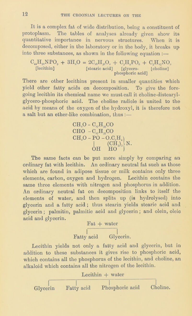 It is a complex fat of wide distribution, being a constituent of protoplasm. The tables of analyses already given show its quantitative importance in nervous structures. When it is decomposed, either in the laboratory or in the body, it breaks up into three substances, as shown in the following equation :— C,,H^NPO, + 3H,0 = 2C,8H3,0, + C3H,PO, + C3H,3NO, [lecithin] [stearic acid] [glycero- [choline] phosphoric acid] There are other lecithins present in smaller quantities which yield other fatty acids on decomposition. To give the fore- going lecithin its chemical name we must call it choline-distearyl- glycero-phosphoric acid. The choline radicle is united to the acid by means of the oxygen of the hydroxyl, it is therefore not a salt but an ether-like combination, thus :— CH,0 - C,,H33C0 CHO -C,,H33C0 CH,0-P0-0.aH, I (CH3)3 OH HO N. The same facts can be put more simply by comparing an ordinary fat with lecithin. An ordinary neutral fat such as those which are found in adipose tissue or milk contains only three elements, carbon, oxygen and hydrogen. Lecithin contains the same three elements with nitrogen and phosphorus in addition. An ordinary neutral fat on decomposition links to itself the elements of water, and then splits up (is hydrolysed) into glycerin and a fatty acid ; thus stearin yields stearic acid and glycerin ; palmitin, palmitic acid and glycerin; and olein, oleic acid and glycerin. Fat -f water Fatty acid Glycerin. Lecithin yields not only a fatty acid and glycerin, but in addition to these substances it gives rise to phosphoric acid, which contains all the phosphorus of the lecithin, and choline, an alkaloid which contains all the nitrogen of the lecithin. Lecithin + water Glycerin Fatty acid Phosphoric acid Choline.