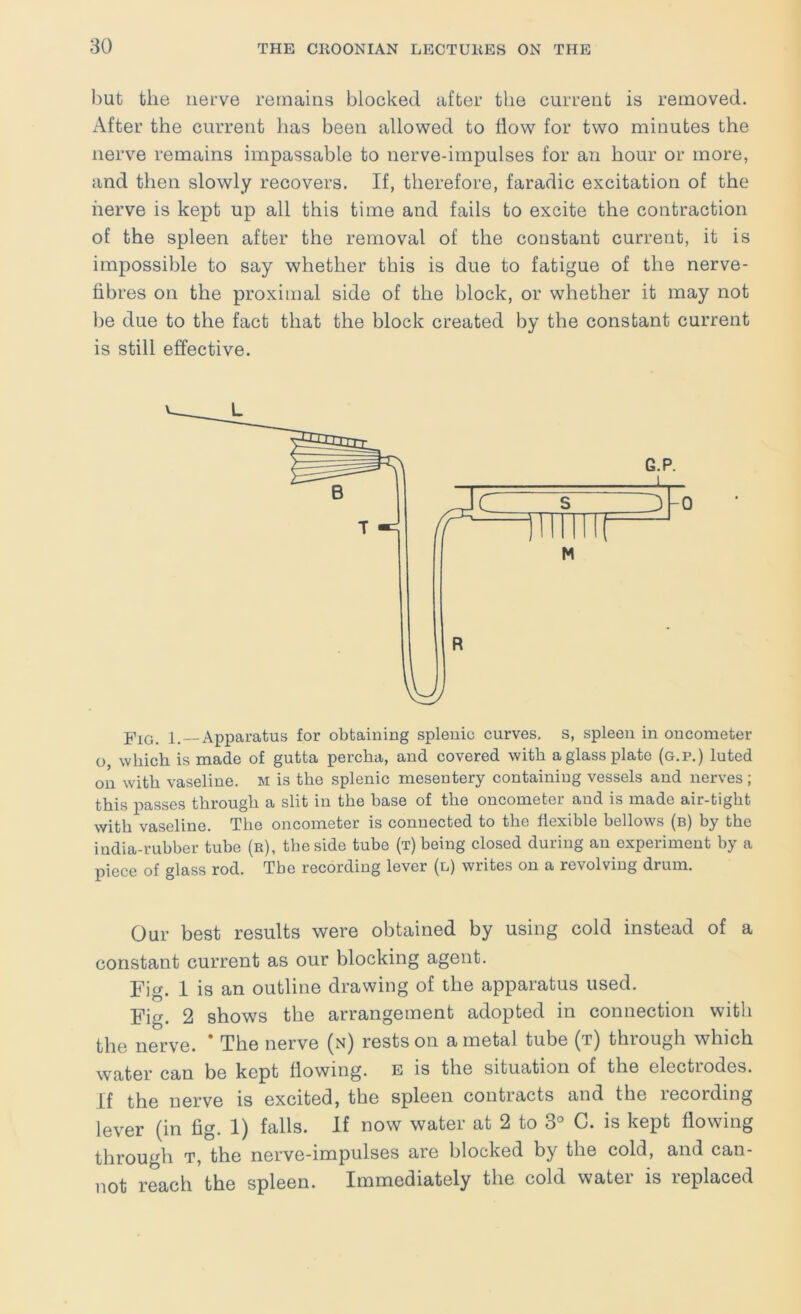 hut the nei’ve remains blocked after the current is removed. After the current has been allowed to flow for two minutes the nerve remains impassable to nerve-impulses for an hour or more, and then slowly recovers. If, therefore, faradic excitation of the nerve is kept up all this time and fails to excite the contraction of the spleen after the removal of the constant current, it is impossible to say whether this is due to fatigue of the nerve- hbres on the proximal side of the block, or whether it may not be due to the fact that the block created by the constant current is still effective. Fig. 1.—Apparatus for obtaining splenic curves, s, spleen in oncometer o, which is made of gutta percha, and covered with a glass plate (g.p.) luted on with vaseline, m is the splenic mesentery containing vessels and nerves; this passes through a slit in the base of the oncometer and is made air-tight with vaseline. The oncometer is connected to the flexible bellows (b) by the india-rubber tube (e), the side tube (t) being closed during an experiment by a piece of glass rod. The recording lever (l) writes on a revolving drum. Our best results were obtained by using cold instead of a constant current as our blocking agent. Fig. 1 is an outline drawing of the apparatus used. Fig. 2 shows the arrangement adopted in connection witli the nerve. * The nerve (n) rests on a metal tube (t) through which water can be kept flowing, e is the situation of the electrodes. If the nerve is excited, the spleen contracts and the lecording lever (in fig. 1) falls. If now water at 2 to 3° G. is kept flowing through T, the nerve-impulses are blocked by the cold, and can- not reach the spleen. Immediately the cold water is replaced