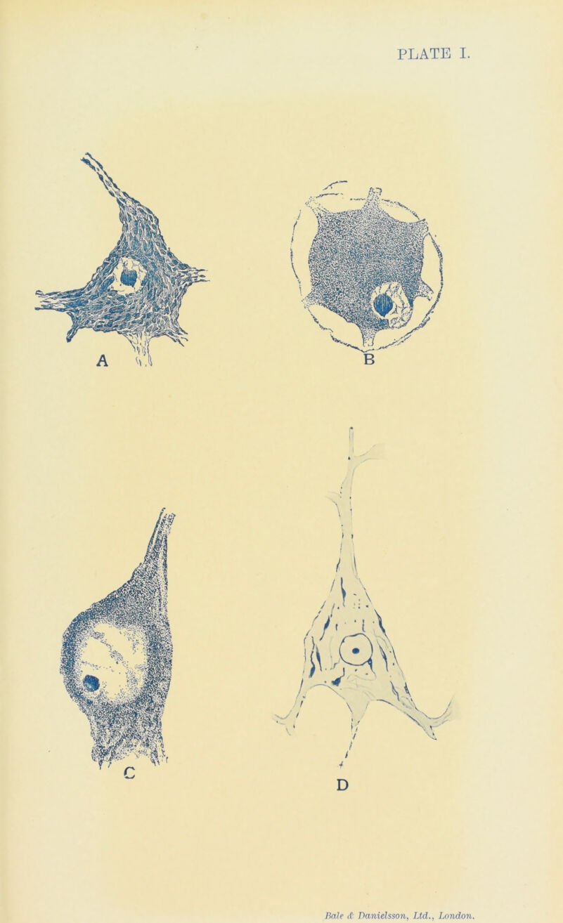 PLATE I. Bale (f Banielsson, Ltd., London.