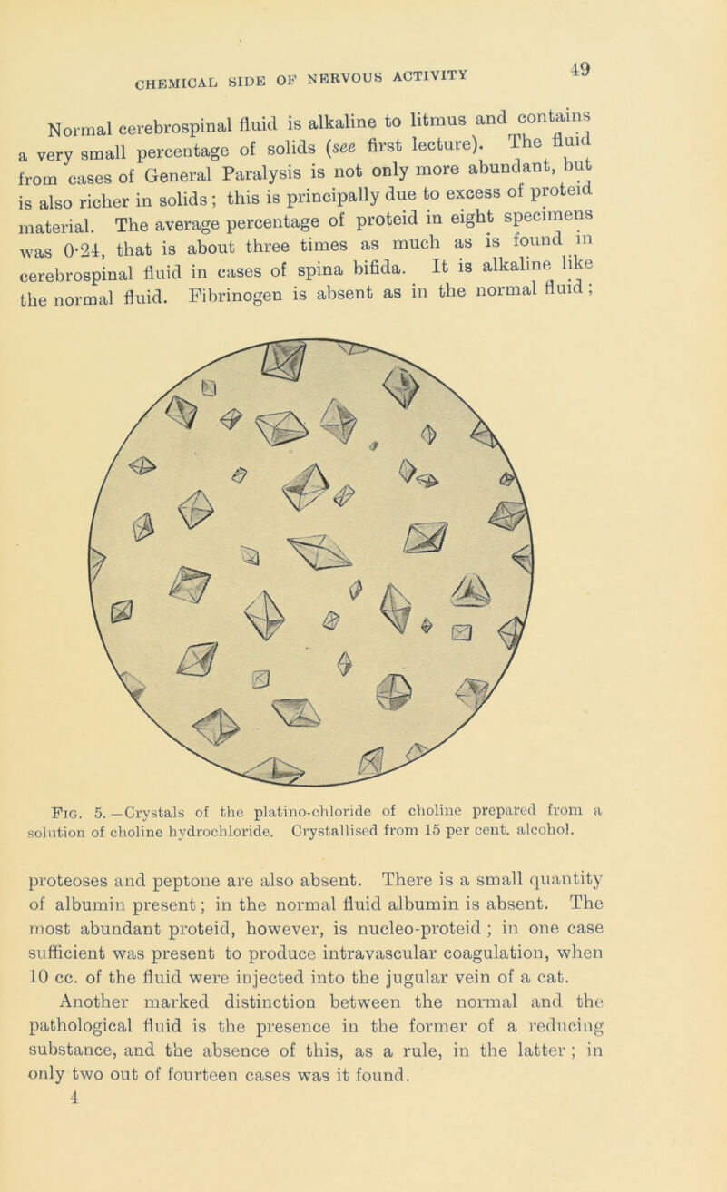 Normal cerebrospinal fluid is alkaline to litmus and contains a very small percentage of solids {see first lecture). The fluid from cases of General Paralysis is not only more abundant, but is also richer in solids; this is principally due to excess of proteid material. The average percentage of proteid in eight specimens was 0-21, that is about three times as much as is found in cerebrospinal fluid in cases of spina bifida. It is alkaline like the normal fluid. Fibrinogen is absent as in the normal fluid ; Fig. 5. —Crystals of the platino-chloride of choline prepared from a solution of choline hydrochloride. Crystallised from 15 per cent, alcohol. proteoses and peptone are also absent. There is a small quantity of albumin present; in the normal fluid albumin is absent. The most abundant proteid, however, is nucleo-proteid ; in one case sufficient was present to produce intravascular coagulation, when 10 cc. of the fluid were injected into the jugular vein of a cab. Another marked distinction between the normal and the pathological fluid is the presence in the former of a reducing substance, and the absence of this, as a rule, in the latter ; in only two out of fourteen cases was it found. 4