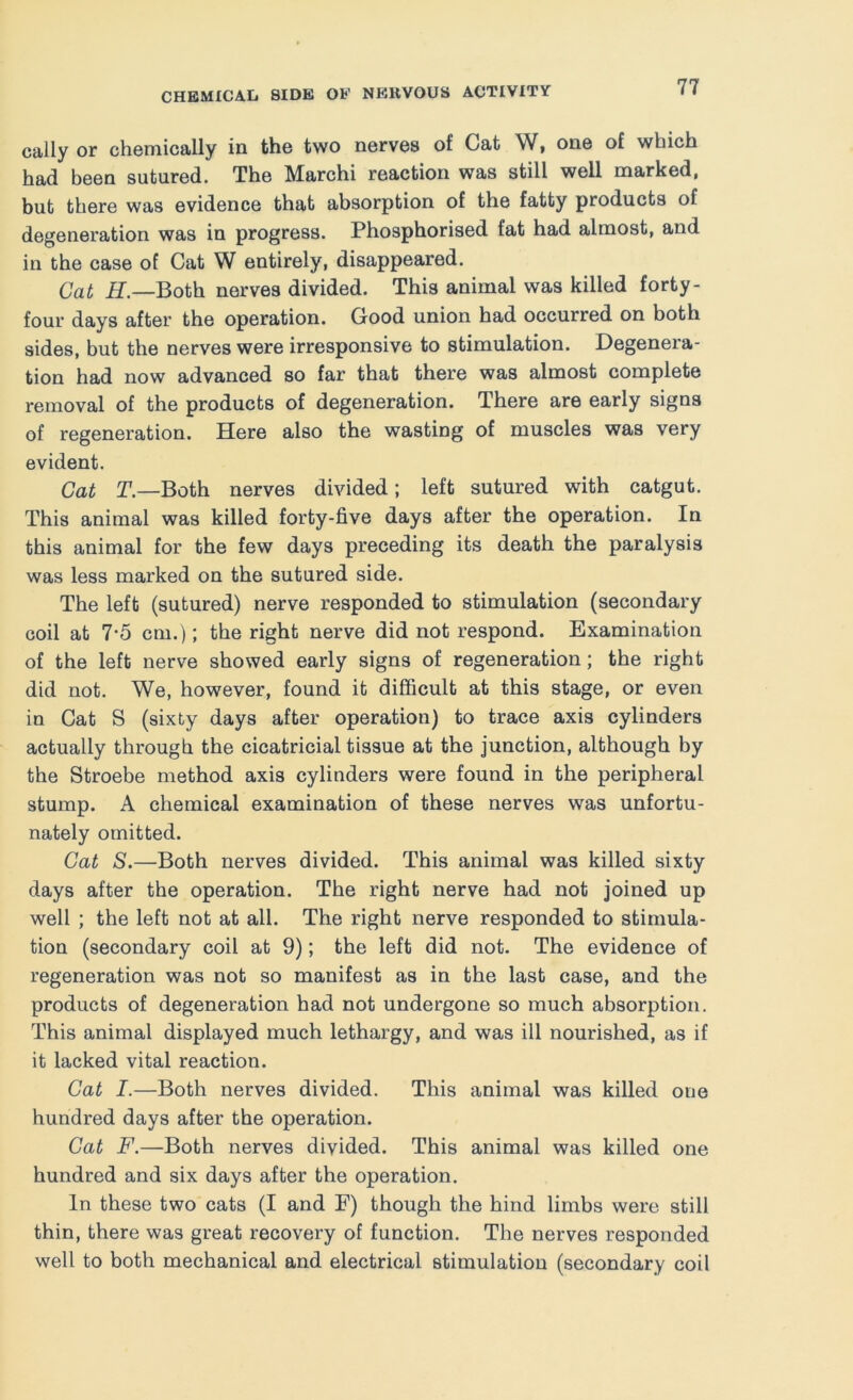 cally or chemically in the two nerves of Cat W, one of which had been sutured. The Marchi reaction was still well marked, but there was evidence that absorption of the fatty products of degeneration was in progress. Phosphorised fat had almost, and in the case of Cat W entirely, disappeared. Gat if.—Both nerves divided. This animal was killed forty- four days after the operation. Good union had occurred on both sides, but the nerves were irresponsive to stimulation. Degenera- tion had now advanced so far that there was almost complete removal of the products of degeneration. There are early signs of regeneration. Here also the wasting of muscles was very evident. Cat r.—Both nerves divided; left sutured with catgut. This animal was killed forty-five days after the operation. In this animal for the few days preceding its death the paralysis was less marked on the sutured side. The left (sutured) nerve responded to stimulation (secondary coil at 7*5 cm. ); the right nerve did not respond. Examination of the left nerve showed early signs of regeneration; the right did not. We, however, found it difficult at this stage, or even in Cat S (sixty days after operation) to trace axis cylinders actually through the cicatricial tissue at the junction, although by the Stroebe method axis cylinders were found in the peripheral stump. A chemical examination of these nerves was unfortu- nately omitted. Gat S.—Both nerves divided. This animal was killed sixty days after the operation. The right nerve had not joined up well ; the left not at all. The right nerve responded to stimula- tion (secondary coil at 9); the left did not. The evidence of regeneration was not so manifest as in the last case, and the products of degeneration had not undergone so much absorption. This animal displayed much lethargy, and was ill nourished, as if it lacked vital reaction. Cat I.—Both nerves divided. This animal was killed one hundred days after the operation. Gat F.—Both nerves divided. This animal was killed one hundred and six days after the operation. In these two cats (I and F) though the hind limbs were still thin, there was great recovery of function. The nerves responded well to both mechanical and electrical stimulation (secondary coil