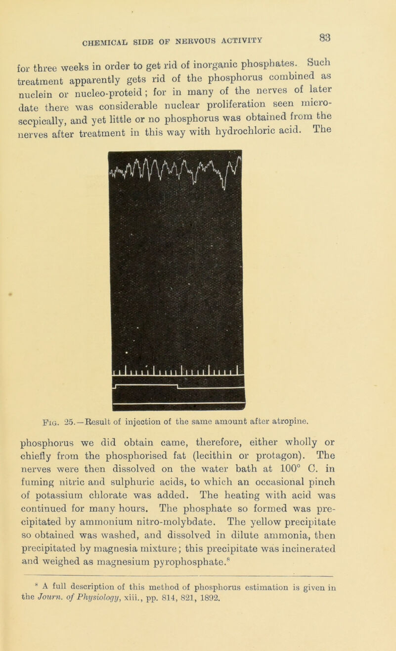 for three weeks in order to get rid of inorganic phosphates. Such treatment apparently gets rid of the phosphorus combined as nuclein or nucleo-proteid; for in many of the nerves of later date there was considerable nuclear proliferation seen micro- scopically, and yet little or no phosphorus was obtained from the nerves after treatment in this way with hydrochloric acid. The Pig. 25.—-Result of injection of the same amount after atropine. phosphorus we did obtain came, therefore, either wholly or chiefly from the phosphorised fat (lecithin or protagon). The nerves were then dissolved on the water bath at 100° C. in fuming nitric and sulphuric acids, to which an occasional pinch of potassium chlorate was added. The heating with acid was continued for many hours. The phosphate so formed was pre- cipitated by ammonium nitro-molybdate. The yellow precipitate so obtained was washed, and dissolved in dilute ammonia, then precipitated by magnesia mixture; this precipitate was incinerated and weighed as magnesium pyrophosphate.^ A full description of this method of phosphorus estimation is given in the Jonrn. of Physiologty, xiii., pp. 814, 821, 1892.