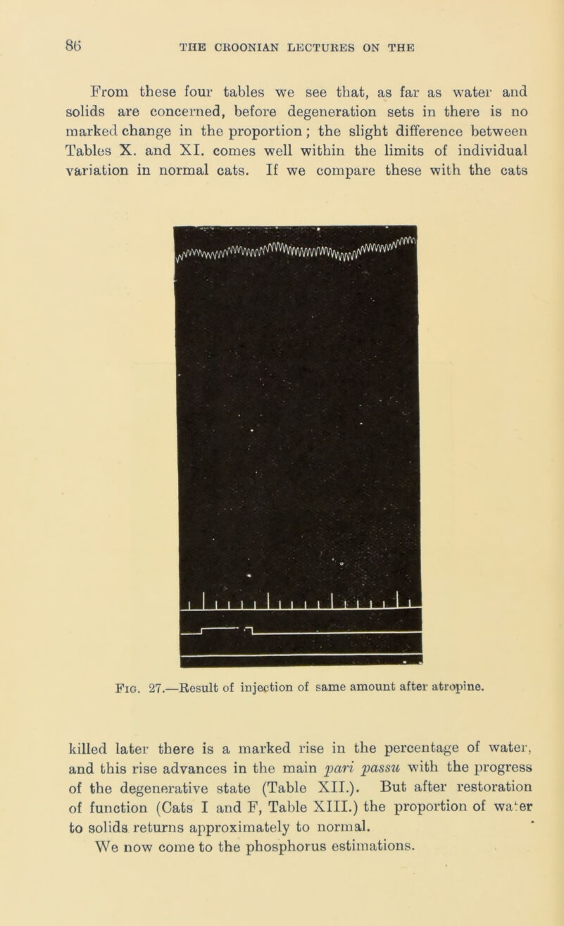 From these four tables we see that, as far as water and solids are concerned, before degeneration sets in there is no marked change in the proportion; the slight difference between Tables X. and XI. comes well within the limits of individual variation in normal cats. If we compare these with the cats Fig. 27.—Result of injection of same amount after atropine. killed later there is a marked rise in the percentage of water, and this rise advances in the main imri 'passu with the progress of the degenerative state (Table XII.). But after restoration of function (Cats I and F, Table XIII.) the proportion of wa^er to solids returns approximately to normal. We now come to the phosphorus estimations.