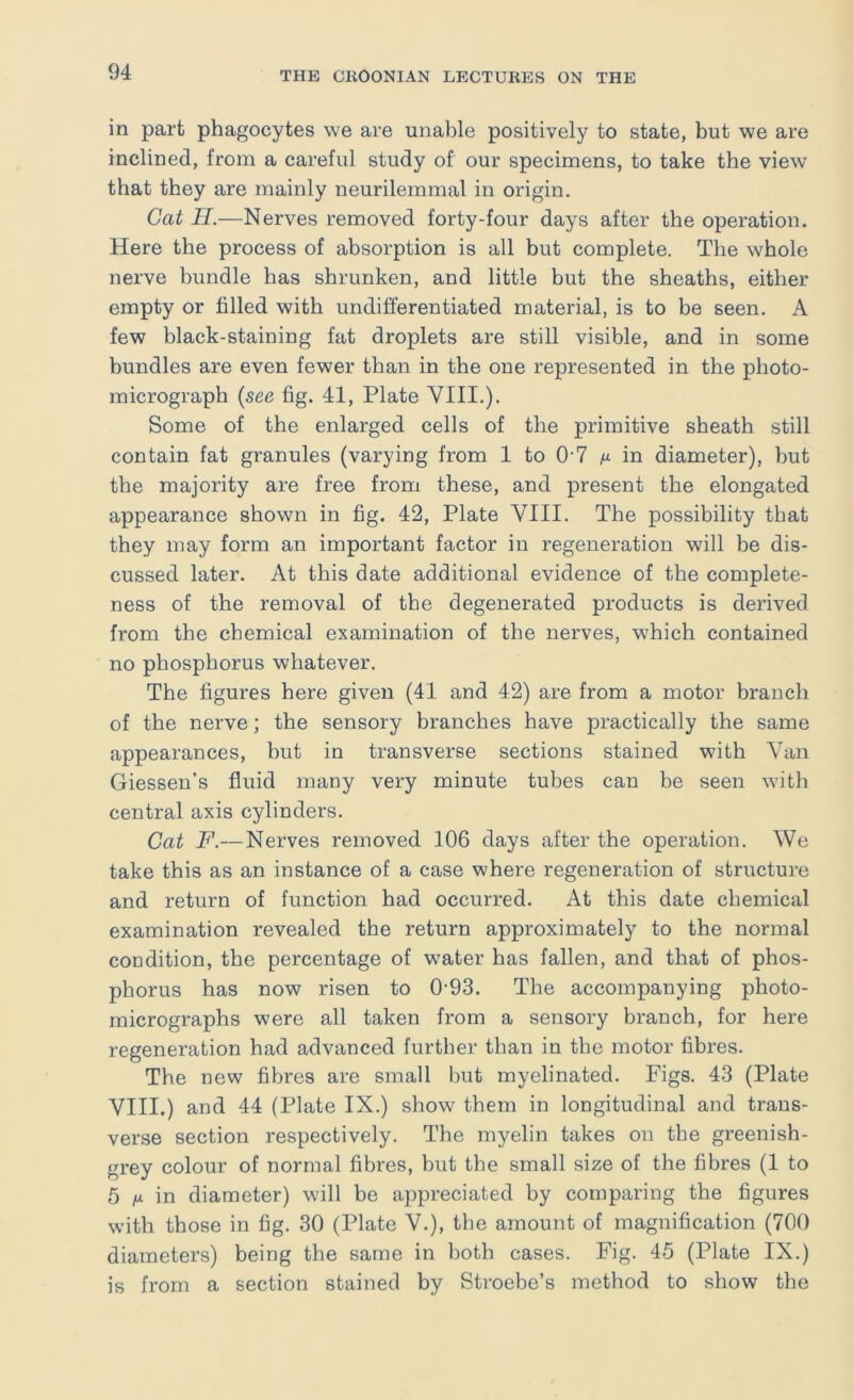 in part phagocytes we are unable positively to state, but we are inclined, from a careful study of our specimens, to take the view that they are mainly neurilemmal in origin. Cat H.—Nerves removed forty-four days after the operation. Here the process of absorption is all but complete. The whole nerve bundle has shrunken, and little but the sheaths, either empty or filled with undifferentiated material, is to be seen. A few black-staining fat droplets are still visible, and in some bundles are even fewer than in the one represented in the photo- micrograph (see fig. 41, Plate VIII.). Some of the enlarged cells of the primitive sheath still contain fat granules (varying from 1 to 0-7 m in diameter), but the majority are free from these, and present the elongated appearance shown in fig. 42, Plate VIII. The possibility that they may form an important factor in regeneration will be dis- cussed later. At this date additional evidence of the complete- ness of the removal of the degenerated products is derived from the chemical examination of the nerves, which contained no phosphorus whatever. The figures here given (41 and 42) are from a motor branch of the nerve; the sensory branches have practically the same appearances, but in transverse sections stained with Van Giessen’s fluid many very minute tubes can be seen with central axis cylinders. Cat F.—Nerves removed 106 days after the operation. We take this as an instance of a case where regeneration of structure and return of function had occurred. At this date chemical examination revealed the return approximately to the normal condition, the percentage of water has fallen, and that of phos- phorus has now risen to 0'93. The accompanying photo- micrographs were all taken from a sensory branch, for here regeneration had advanced further than in the motor fibres. The new fibres are small but myelinated. Figs. 43 (Plate VIII.) and 44 (Plate IX.) show them in longitudinal and trans- verse section respectively. The myelin takes on the greenish- grey colour of normal fibres, but the small size of the fibres (1 to 5 fi in diameter) will be appreciated by comparing the figures with those in fig. 30 (Plate V.), the amount of magnification (700 diameters) being the same in both cases. Fig. 45 (Plate IX.) is from a section stained by Stroebe’s method to show the