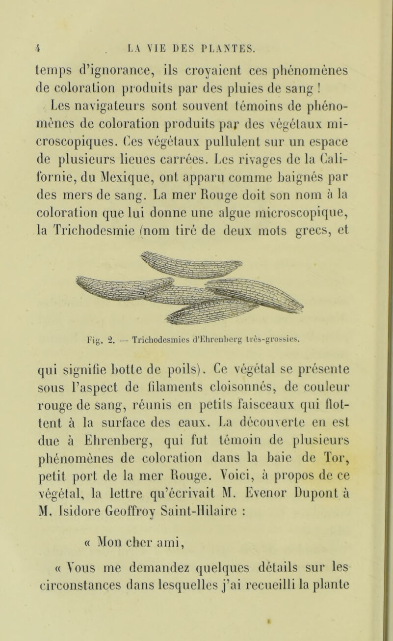 temps d’ignorance, ils croyaient ces phénomènes de coloration produits par des pluies de sang ! Les navigateurs sont souvent témoins de phéno- mènes de coloration produits par des végétaux mi- croscopiques. Ces végétaux pullulent sur un espace de plusieurs lieues carrées. Les rivages de la Cali- fornie, du Mexique, ont apparu comme baignés par des mers de sang. La mer Rouge doit son nom à la coloration que lui donne une algue microscopique, la Trichodesmie (nom tiré de deux mots grecs, et qui signifie botte rie poils). Ce végétal se présente sous l’aspect de filaments cloisonnés, de couleur rouge de sang, réunis en petits faisceaux qui bot- tent à la surface des eaux. La découverte en est duc à Ehrenberg, qui fut témoin de plusieurs phénomènes de coloration dans la baie de Tor, petit port de la mer Rouge. Voici, à propos de ce végétal, la lettre qu’écrivait M. Evenor Dupont à M. Isidore Geoffroy Saint-Hilaire : « Mon cher ami, « Vous me demandez quelques détails sur les circonstances dans lesquelles j’ai recueilli la plante
