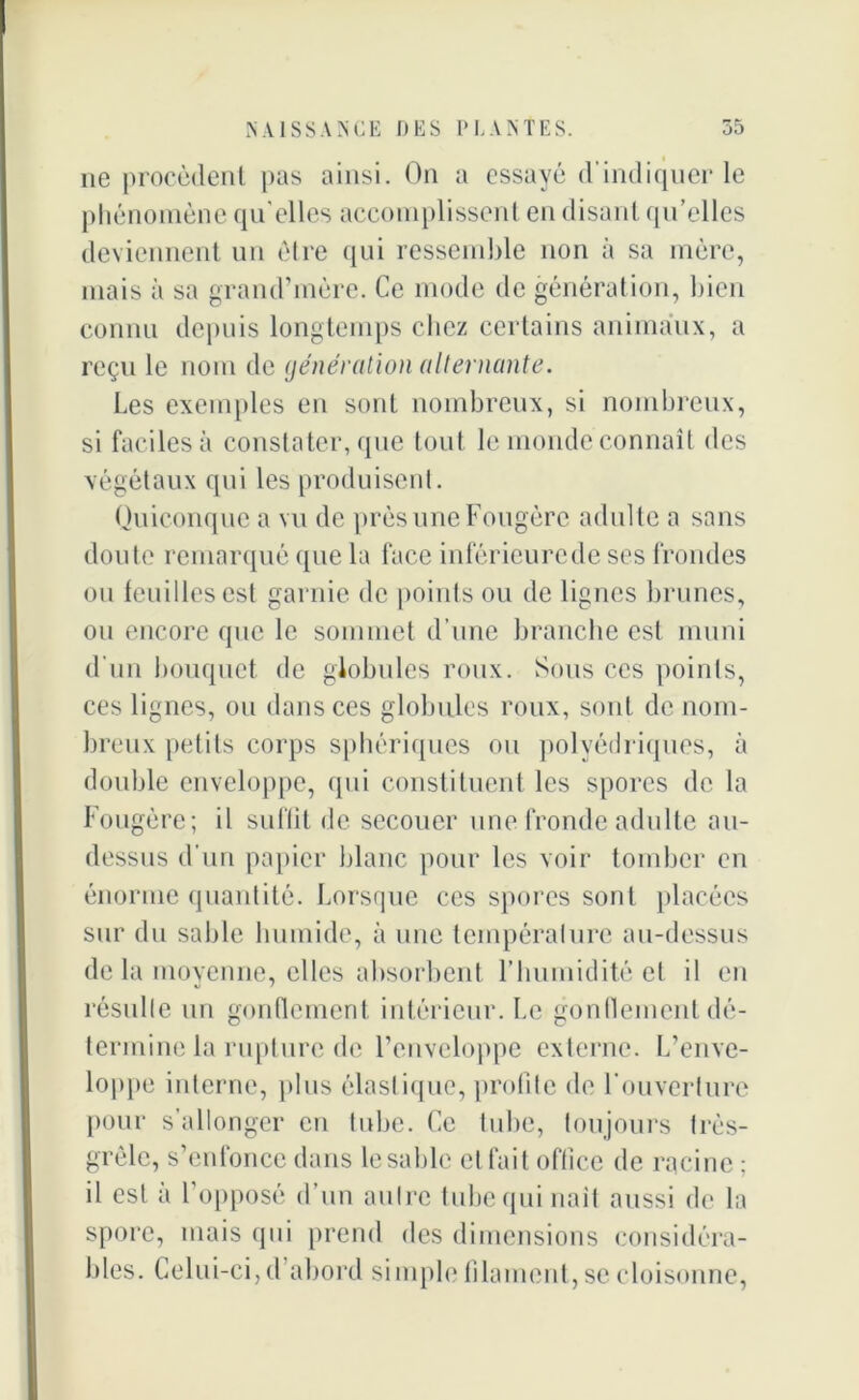 ne procèdent pas ainsi. On a essayé d’indiquer le phénomène qu elles accomplissent en disant qu’elles deviennent un être qui ressemble non à sa mère, mais à sa grand’mère. Ce mode de génération, bien connu depuis longtemps chez certains animaux, a reçu le nom de génération alternante. Les exemples en sont nombreux, si nombreux, si faciles à constater, que tout le monde connaît des végétaux qui les produisent. Quiconque a vu de près une Fougère adulte a sans doute remarqué que la face inférieure de ses frondes ou feuilles est garnie de points ou de lignes brunes, ou encore que le sommet d’une branche est muni d'un bouquet de globules roux. Sous ces points, ces lignes, ou dans ces globules roux, sont de nom- breux petits corps sphériques ou polyédriques, à double enveloppe, qui constituent les spores de la Fougère; il suffit de secouer une fronde adulte au- dessus d’un papier blanc pour les voir tomber en énorme quantité. Lorsque ces spores sont placées sur du sable humide, à une température au-dessus de la moyenne, elles absorbent l’humidité et il en résulte un gonflement intérieur. Le gonflement dé- termine la rupture de l’enveloppe externe. L’enve- loppe interne, plus élastique, profite de l’ouverture pour s’allonger en tube. Ce tube, toujours très- grèlc, s’enfonce dans le sable et fait office de racine ; il est à l’opposé d’un autre tube qui naît aussi de la spore, mais qui prend des dimensions considéra- bles. Celui-ci, d’abord simple filament, se cloisonne,