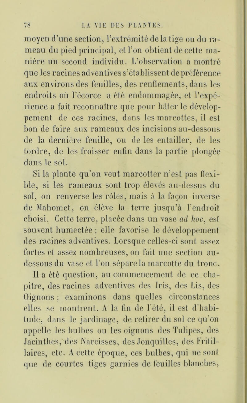 moyen d’une section, l’extrémité de la tige ou du ra- meau du pied principal, et l’on obtient de cette ma- nière un second individu. L’observation a montré que les racines adventices s’établissent de préférence aux environs des feuilles, des renflements, dans les endroits où l’écorce a été endommagée, et l’expé- rience a fait reconnaître que pour hâter le dévelop- pement de ces racines, dans les marcottes, il est bon de faire aux rameaux des incisions au-dessous de la dernière feuille, ou de les entailler, de les tordre, de les froisser enfin dans la partie plongée dans le sol. Si la plante qu’on veut marcotter n’est pas flexi- ble, si les rameaux sont trop élevés au-dessus du sol, on renverse les rôles, mais à la façon inverse de Mahomet, on élève la terre jusqu’à l’endroit choisi. Cette terre, placée dans un vase ad hoc, est souvent humectée ; elle favorise le développement des racines adventives. Lorsque celles-ci sont assez fortes et assez nombreuses, on fait une section au- dessous du vase et l’on sépare la marcotte du tronc. Il a été question, au commencement de ce cha- pitre, des racines adventives des Iris, des Lis, des Oignons ; examinons dans quelles circonstances elles se montrent. A la fin de l’été, il est d’habi- tude, dans le jardinage, de retirer du sol ce qu’on appelle les bulbes ou les oignons des Tulipes, des Jacinthes, des Narcisses, des Jonquilles, des Fritil- laires, etc. A cette époque, ces bulbes, qui ne sont que de courtes tiges garnies de feuilles blanches,