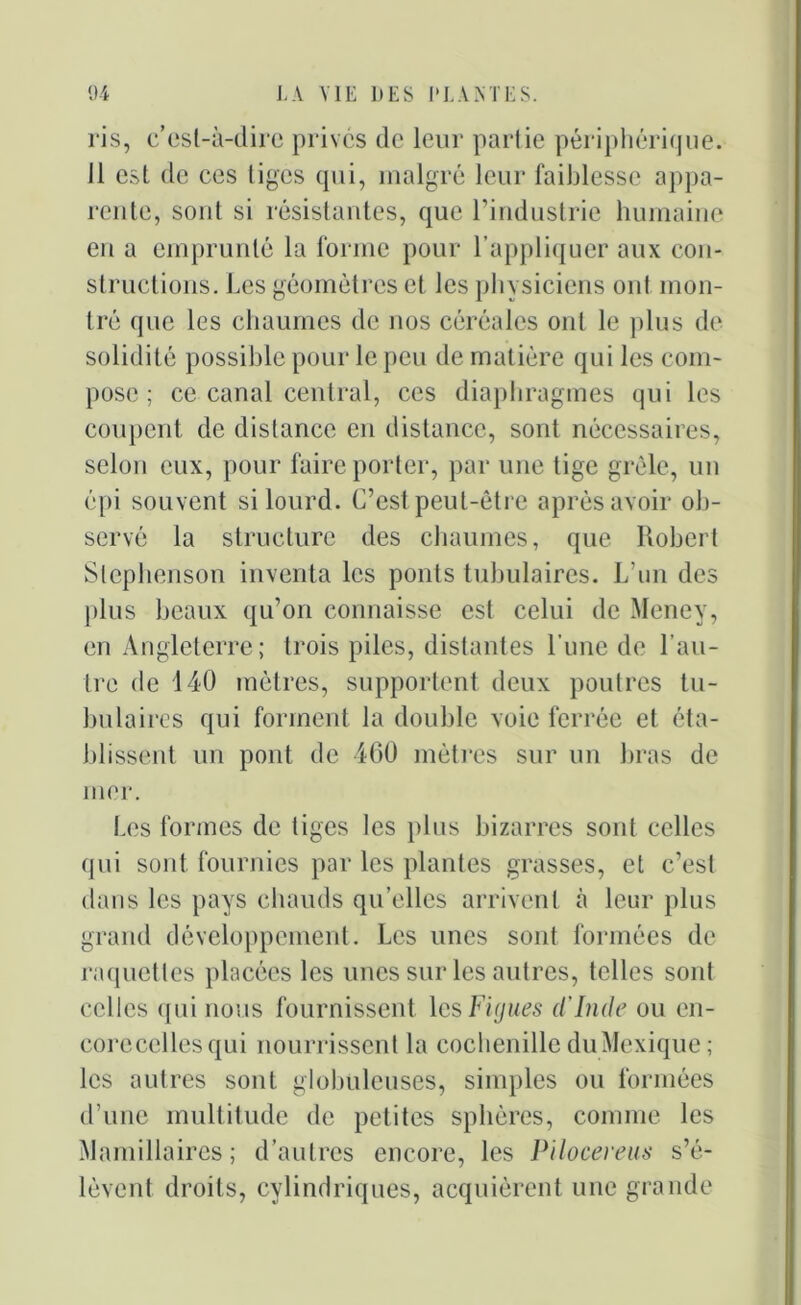 ris, c’est-à-dire prives do leur partie périphérique. Il est de ces tiges qui, malgré leur faiblesse appa- rente, sont si résistantes, que l’industrie humaine en a emprunté la forme pour l’appliquer aux con- structions. Les géomètres et les physiciens ont mon- tré que les chaumes de nos céréales ont le plus de solidité possible pour le peu de matière qui les com- pose ; ce canal central, ces diaphragmes qui les coupent de distance en distance, sont nécessaires, selon eux, pour faire porter, par une tige grêle, un épi souvent si lourd. C’est peut-être après avoir ob- servé la structure des chaumes, que Robert Slephenson inventa les ponts tubulaires. L’un des plus beaux qu’on connaisse est celui de Meney, en Angleterre; trois piles, distantes l’une de l’au- tre de 140 mètres, supportent deux poutres tu- bulaires qui forment la double voie ferrée et éta- blissent un pont de 400 mètres sur un bras de mer. Les formes de tiges les plus bizarres sont celles qui sont fournies par les plantes grasses, et c’est dans les pays chauds qu’elles arrivent à leur plus grand développement. Les unes sont formées de raquettes placées les unes sur les autres, telles sont celles qui nous fournissent les Figues d’Inde ou en- corecellesqui nourrissent la cochenille du Mexique; les autres sont globuleuses, simples ou formées d’une multitude de petites sphères, comme les Mamillaires ; d’autres encore, les Pilocereus s’é- lèvent droits, cylindriques, acquièrent une grande