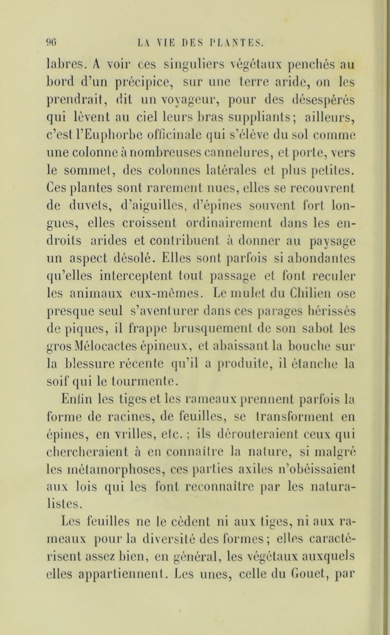 labres. A voir ces singuliers végétaux penchés au bord d’un précipice, sur une terre aride, on les prendrait, dit un voyageur, pour des désespérés qui lèvent au ciel leurs bras suppliants; ailleurs, c’est l’Euphorbe officinale qui s’élève du sol comme une colonne à nombreuses cannelures, et porte, vers le sommet, des colonnes latérales et plus petites. Ces plantes sont rarement nues, elles se recouvrent de duvets, d’aiguilles, d’épines souvent fort lon- gues, elles croissent ordinairement dans les en- droits arides et contribuent à donner au paysage un aspect désolé. Elles sont parfois si abondantes qu’elles interceptent tout, passage et font reculer les animaux eux-mêmes. Le mulet du Chilien ose presque seul s’aventurer dans ces parages hérissés dépiqués, il frappe brusquement de son sabot les gros Mélocactes épineux, et abaissant la bouche sur la blessure récente qu’il a produite, il étanche la soif qui le tourmente. Enlin les tiges et les rameaux prennent parfois la forme de racines, de feuilles, se transforment en épines, en vrilles, etc. ; ils dérouteraient ceux qui chercheraient à en connaître la nature, si malgré les métamorphoses, ces parties axiles n’obéissaient aux lois qui les font reconnaître par les natura- listes. Les feuilles ne le cèdent ni aux tiges, ni aux ra- meaux pour la diversité des formes ; elles caracté- risent assez bien, en général, les végétaux auxquels elles appartiennent. Les unes, celle du C.ouet, par