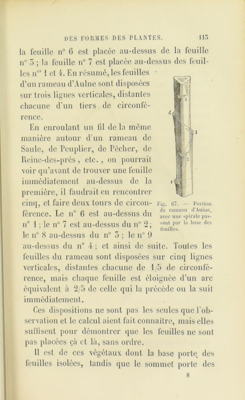 115 f ;2 DES FORMES DES PLANTES. la fouille n° 6 est placée au-dessus de la feuille n° 5 ; la feuille n° 7 est placée au-dessus des feuil- les uos I et 4. En résumé, les feuilles d’un rameau d’Aulne sont disposées sur trois lignes verticales, distantes chacune d’un tiers de circonfé- rence. En enroulant un fil de la même manière autour d’un rameau de Saule, de Peuplier, de Pécher, de Reine-des-prés, etc., on pourrait voir qu’avant de trouver une feuille immédiatement au-dessus de la première, il faudrait en rencontrer cinq, et faire deux tours de circon- Fig. férence. Pc n° C est au-dessus du avec une spirale Pas- n° 1 ; le n° 7 est au-dessus du n° 2; f nt..Piir la ljase des leuilles. le n° 8 au-dessus du n° 5 ; le n° 9 au-dessus du n° 4 ; et ainsi de suite. Toutes les feuilles du rameau sont disposées sur cinq lignes verticales, distantes chacune de 1/5 de circonfé- rence, mais chaque feuille est éloignée d’un arc équivalent à 2/5 de celle qui la précède ou la suit immédiatement. Ces dispositions ne sont pas les seules que l’ob- servation et le calcul aient fait connaître, mais elles suffisent pour démontrer que les feuilles ne sont pas placées çà et là, sans ordre. 11 est de ces végétaux dont la hase porte des feuilles isolées, tandis que le sommet porte des 8 G”. — Portion de rameau d’Aulne,
