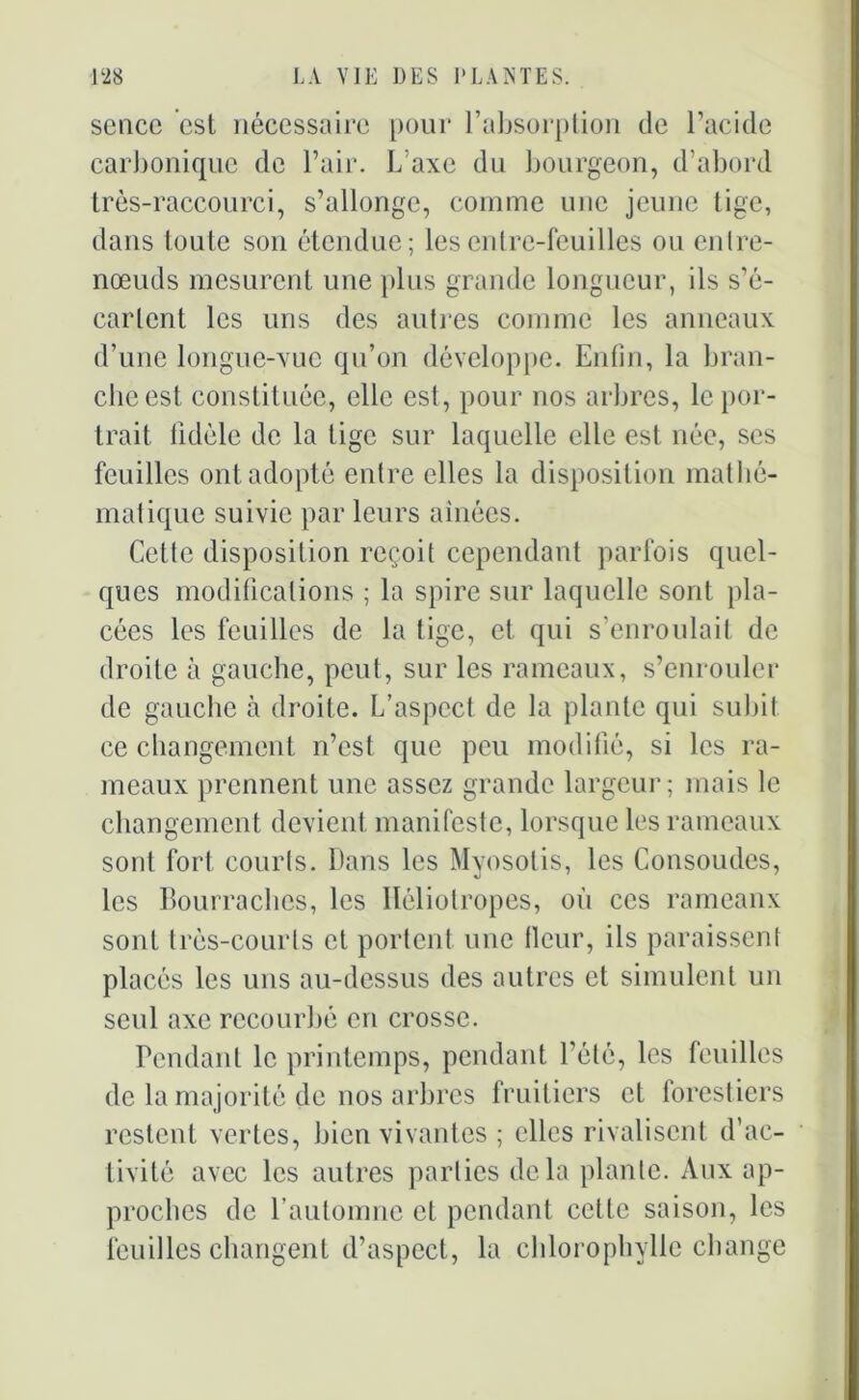 sencc est nécessaire pour l’absorption de l’acide carbonique de l’air. L’axe du bourgeon, d’abord très-raccourci, s’allonge, comme une jeune tige, dans toute son étendue; les entre-feuilles ou entre- nœuds mesurent une plus grande longueur, ils s’é- cartent les uns des autres comme les anneaux d’une longue-vue qu’on développe. Enfin, la bran- che est constituée, elle est, pour nos arbres, le por- trait fidèle de la tige sur laquelle elle est née, ses feuilles ont adopté entre elles la disposition mathé- matique suivie par leurs aînées. Cette disposition reçoit cependant parfois quel- ques modifications ; la spire sur laquelle sont pla- cées les feuilles de la tige, et qui s’enroulait de droite à gauche, peut, sur les rameaux, s’enrouler de gauche à droite. L’aspect de la plante qui subit ce changement n’est que peu modifié, si les ra- meaux prennent une assez grande largeur; mais le changement devient manifeste, lorsque les rameaux sont fort courts. Dans les Myosotis, les Consolides, les Bourraches, les Héliotropes, où ces rameaux sont très-courts et portent une Heur, ils paraissent placés les uns au-dessus des autres et simulent un seul axe recourbé en crosse. Pendant le printemps, pendant l’été, les feuilles de la majorité de nos arbres fruitiers et forestiers restent vertes, bien vivantes ; elles rivalisent d’ac- tivité avec les autres parties delà plante. Aux ap- proches de l'automne et pendant celle saison, les feuilles changent d’aspect, la chlorophylle change