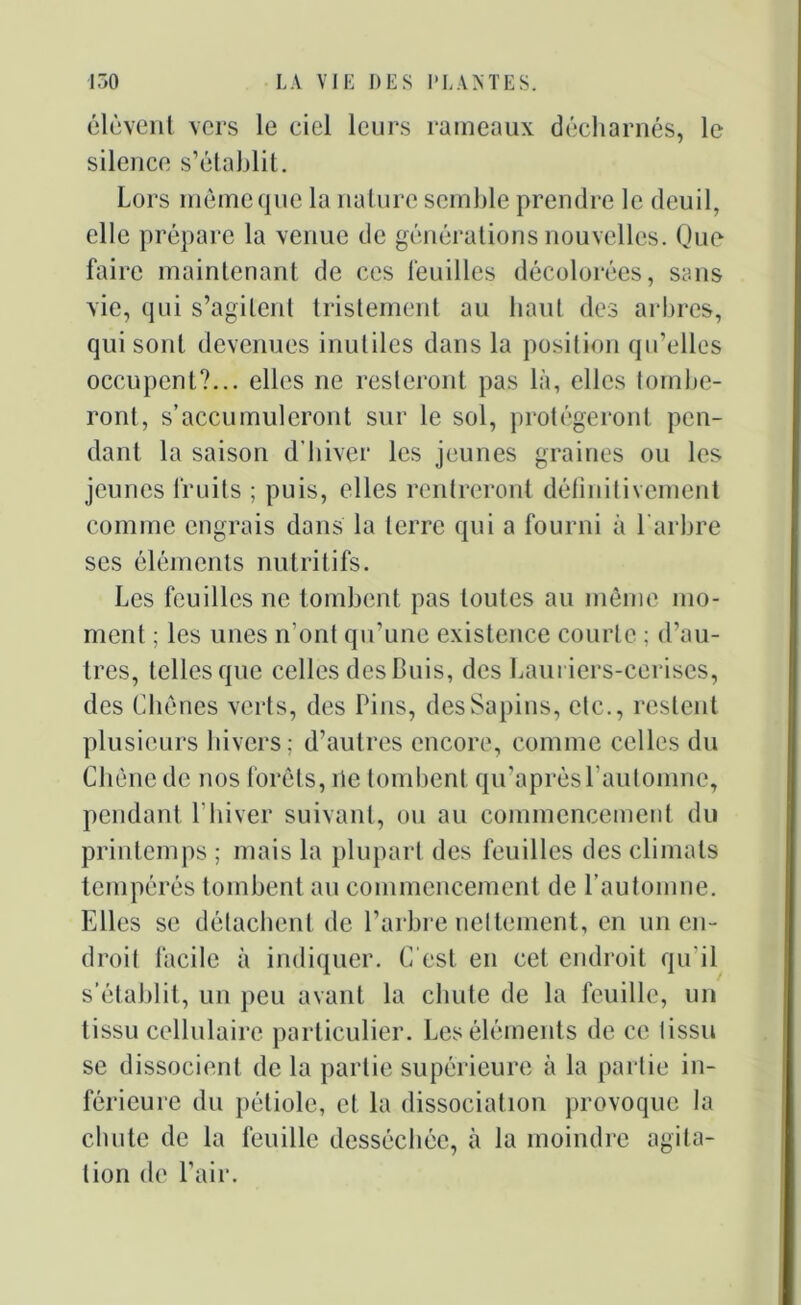 élèvent vers le ciel leurs rameaux décharnés, le silence s’établit. Lors môme que la nature semble prendre le deuil, elle prépare la venue de générations nouvelles. Que faire maintenant de ces feuilles décolorées, sans vie, qui s’agitent tristement au haut des arbres, qui sont devenues inutiles dans la position qu’elles occupent?... elles ne resteront pas là, elles touille- ront, s’accumuleront sur le sol, protégeront pen- dant la saison d'hiver les jeunes graines ou les jeunes fruits ; puis, elles rentreront définitivement comme engrais dans la terre qui a fourni à l’arbre ses éléments nutritifs. Les feuilles ne tombent pas toutes au meme mo- ment ; les unes n’ont qu’une existence courte ; d’au- tres, telles que celles des Buis, des Lauriers-cerises, des Chênes verts, des Pins, des Sapins, etc., restent plusieurs hivers; d’autres encore, comme celles du Chêne de nos forêts, lie tombent qu’aprèsl automne, pendant l’hiver suivant, ou au commencement du printemps ; mais la plupart des feuilles des climats tempérés tombent au commencement de l’automne. Elles se détachent de l’arbre nettement, en un en- droit facile à indiquer. C'est en cet endroit qu’il s’établit, un peu avant la chute de la feuille, un tissu cellulaire particulier. Les éléments de ce tissu se dissocient de la partie supérieure à la partie in- férieure du pétiole, et la dissociation provoque la chute de la feuille desséchée, à la moindre agita- tion de l’air.