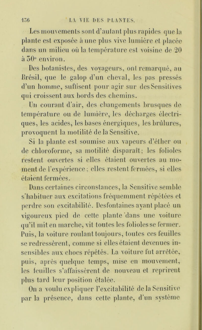 Les mouvements sont d’autant plus rapides que la plante est exposée à une plus vive lumière et placée dans un milieu où la température est voisine de 20 à 50 environ. Des botanistes, des voyageurs, ont remarqué, au Brésil, que le galop d’un cheval, les pas pressés d’un homme, suflisent pour agir sur des Sensitives qui croissent aux bords des chemins. Un courant d’air, des changements brusques de température ou de lumière, les décharges électri- ques, les acides, les bases énergiques, les brûlures, provoquent la motilité de la Sensitive. Si la plante est soumise aux vapeurs d’éther ou de chloroforme, sa motilité disparaît; les folioles restent ouvertes si elles étaient ouvertes au mo- ment de l’expérience; elles restent fermées, si elles étaient fermées. Dans certaines circonstances, la Sensitive semble s’habituer aux excitations fréquemment répétées et perdre son excitabilité. Desfontaines ayant placé un vigoureux pied de cette plante dans une voiture qu’il mit en marche, vit toutes les folioles se fermer. Puis, la voiture roulant toujours, toutes ces feuilles se redressèrent, comme si elles étaient devenues in- sensibles aux chocs répétés. La voiture fut arrêtée, puis, après quelque temps, mise en mouvement, les feuilles s’affaissèrent de nouveau et reprirent plus tard leur position étalée. On a voulu expliquer l’excitabilité delà Sensitive par la présence, dans cette plante, d’un système