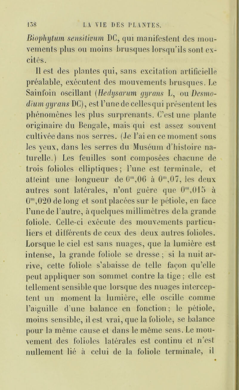 Biophytum sensitivum DC, qui manifestent des mou- vements plus ou moins brusques lorsqu’ils sont ex- cités. Il est des plantes qui, sans excitation artificielle préalable, exécutent des mouvements brusques. Le Sainfoin oscillant (Hedysarum gyrans L, ou Desmo- diumgyrans DC), est l’une de cellesqui présentent les phénomènes les plus surprenants. C’est une plante originaire du Bengale, mais qui est assez souvent cultivée dans nos serres. (Je l’ai en ce moment sous les yeux, dans les serres du Muséum d’histoire na- turelle.) Les feuilles sont composées chacune de trois folioles elliptiques; l’une est terminale, et atteint une longueur de 0m,06 à O1,07, les deux autres sont latérales, n’ont guère que 0,U,015 à O1,020 de long et sont placées sur le pétiole, en face l’unede l’autre, à quelques millimètres delà grande foliole. Celle-ci exécute des mouvements particu- liers et différents de ceux des deux autres folioles. Lorsque le ciel est sans nuages, que la lumière est intense, la grande foliole se dresse; si la nuit ar- rive, celte foliole s’abaisse de telle façon qu’elle peut appliquer son sommet contre la tige; elle est tellement sensible que lorsque des nuages intercep- tent un moment la lumière, elle oscille comme l’aiguille d’une balance en fonction; le pétiole, moins sensible, il est vrai, que la foliole, se balance pour la même cause et dans le même sens. Le mou- vement des folioles latérales est continu et n’est nullement lié à celui de la foliole terminale, il
