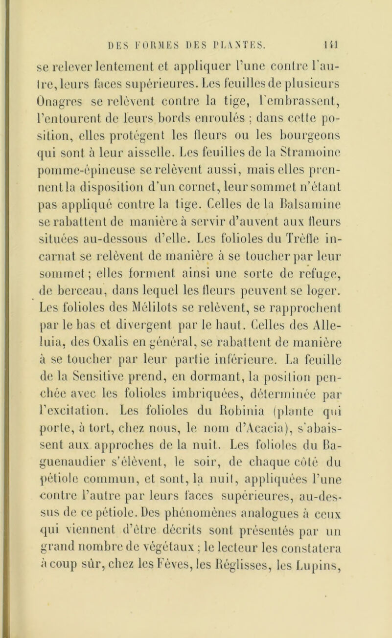 se relever lentement et appliquer l’une contre l’au- tre, leurs faces supérieures. Les feuilles de plusieurs Onagres se relèvent contre la tige, l'embrassent, l’entourent de leurs bords enroulés ; dans cette po- sition, elles protègent les Heurs ou les bourgeons qui sont à leur aisselle. Les feuilles de la Strainoine pomme-épineuse se relèvent aussi, mais elles pren- nent la disposition d’un cornet, leur sommet n’étant pas appliqué contre la tige. Celles de la Balsamine se rabattent de manière à servir d’auvent aux Heurs situées au-dessous d’elle. Les folioles du Trèfle in- carnat se relèvent de manière à se toucher par leur sommet ; elles forment ainsi une sorte de refuge, de berceau, dans lequel les Heurs peuvent se loger. Les folioles des Mélilots se relèvent, se rapprochent par le bas et divergent par le liant. Celles des Allé- luia, des Oxalis en général, se rabattent de manière à se toucher par leur partie inférieure. La feuille de la Sensitive prend, en dormant, la position pen- chée avec les folioles imbriquées, déterminée par fexcilation. Les folioles du Kobinia (plante qui porte, à tort, chez nous, le nom d’Àcacia), s’abais- sent aux approches de la nuit. Les folioles du Ba- guenaudier s’élèvent, le soir, de chaque côté du pétiole commun, et sont, la nuit, appliquées l’une contre l’autre par leurs faces supérieures, au-des- sus de ce pétiole. Des phénomènes analogues à ceux qui viennent d’ètre décrits sont présentés par un grand nombre de végétaux ; le lecteur les constatera à coup sûr, chez les Fèves, les Réglisses, les Lupins,