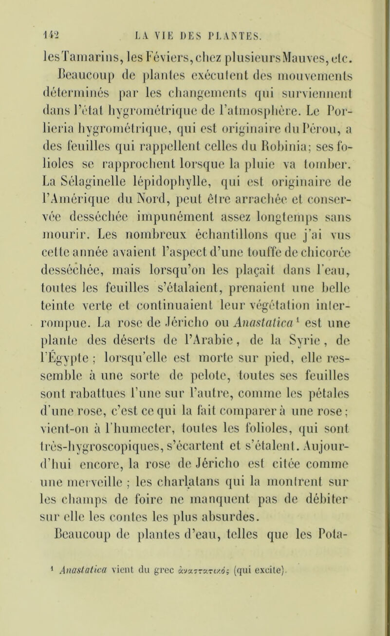 les'famarins, les Féviers,chez plusieurs Mauves, etc. Beaucoup de plantes exécutent des mouvements déterminés par les changements qui surviennent dans l’état hygrométrique de l'atmosphère. Le Por- lieria hygrométrique, qui est originaire du Pérou, a des feuilles qui rappellent celles du Robinia; ses fo- lioles se rapprochent lorsque la pluie va tomber. La Sélaginclle lépidophylle, qui est originaire de l’Amérique du Nord, peut être arrachée et conser- vée desséchée impunément assez longtemps sans mourir. Les nombreux échantillons que j’ai vus cette année avaient l’aspect d’une touffe de chicorée desséchée, mais lorsqu’on les plaçait dans l'eau, toutes les feuilles s’étalaient, prenaient une belle teinte verte et continuaient leur végétation inter- rompue. La rose de Jéricho ou Anastatica1 est une plante des déserts de l’Arabie, de la Syrie, de l’Égypte ; lorsqu’elle est morte sur pied, elle res- semble à une sorte de pelote, toutes ses feuilles sont rabattues P une sur l’autre, comme les pétales d’une rose, c’est ce qui la fait comparera une rose; vient-ori à t'humecter, toutes les folioles, qui sont très-hygroscopiques, s’écartent et s’étalent . Aujour- d’hui encore, la rose de Jéricho est citée comme une merveille ; les charlatans qui la montrent sur les champs de foire ne manquent pas de débiter sur elle les contes les plus absurdes. Beaucoup de plantes d’eau, telles que les Pola- 1 Anastatica vient du grec «vaTrsertxdj (qui excite).